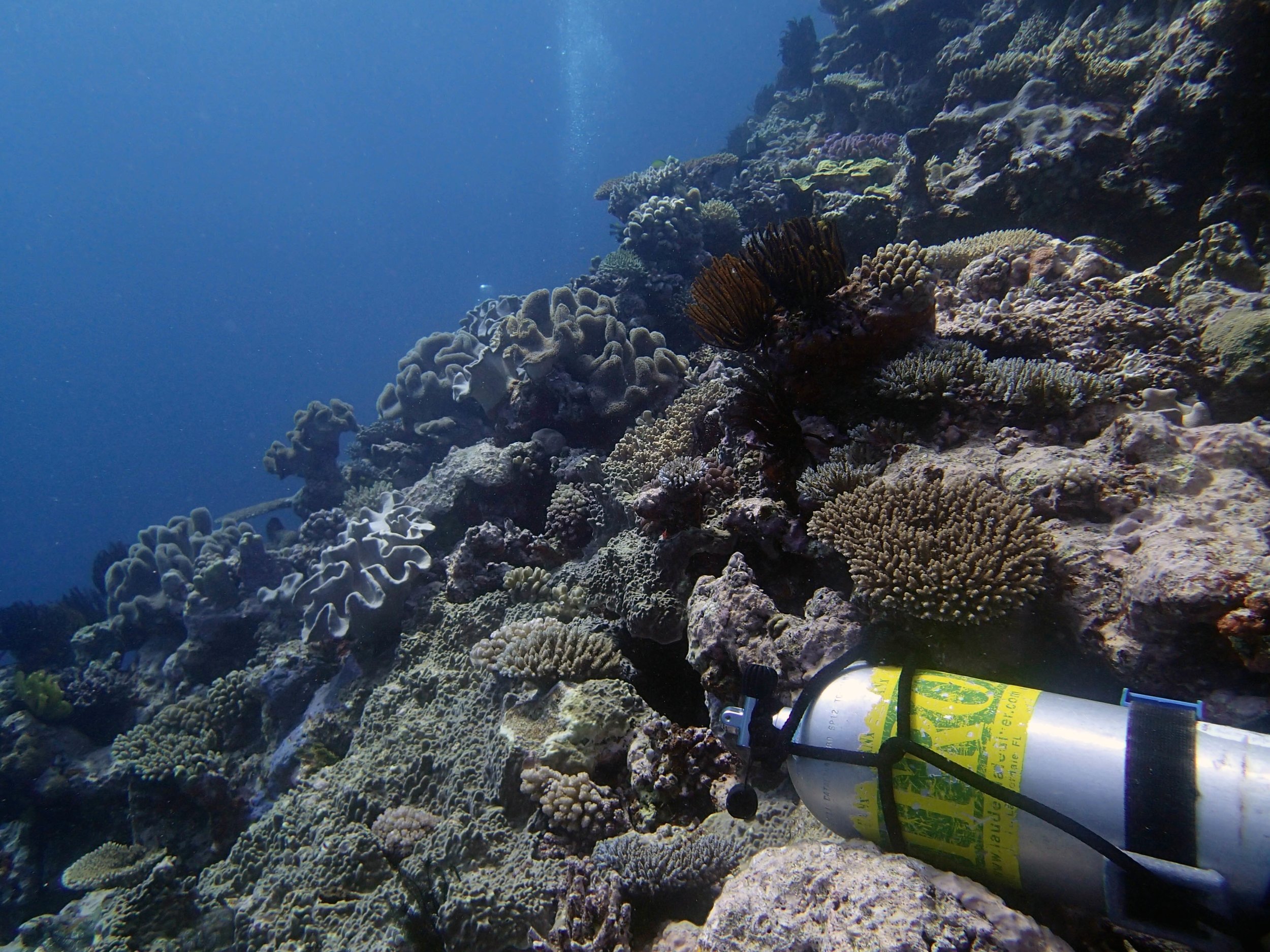 last dive at Surprise Atoll.jpg