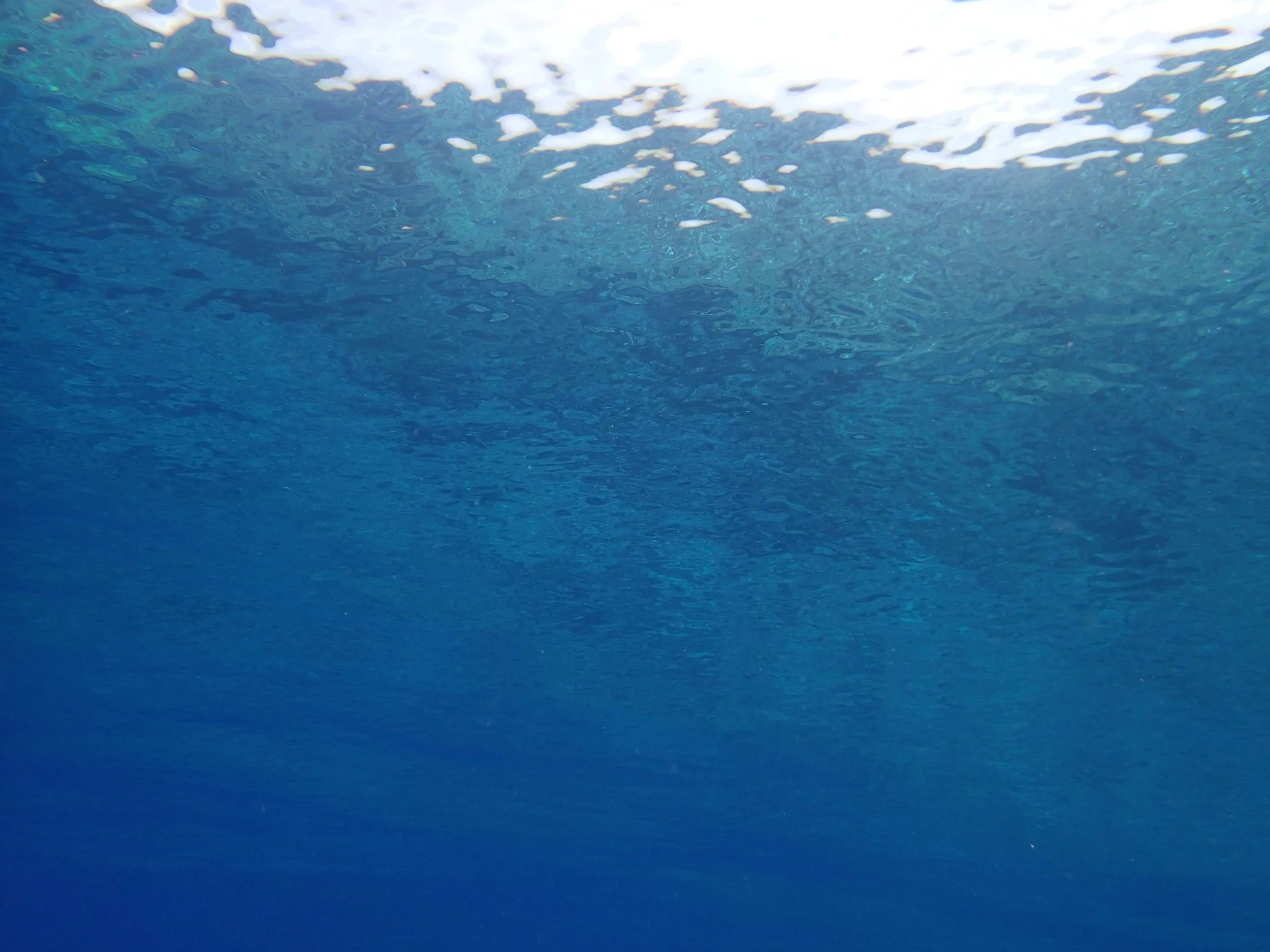 surface of the water.jpg