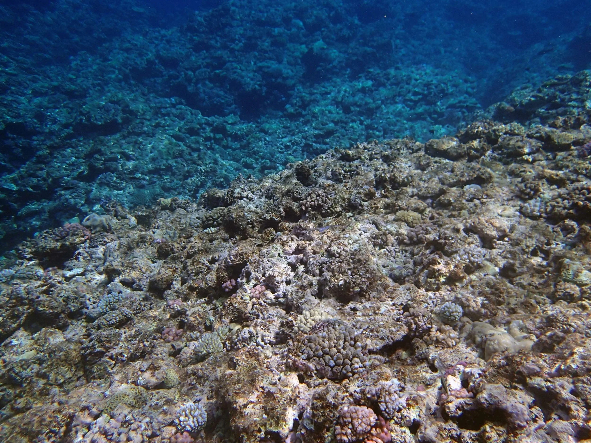 scoured shallows.jpg