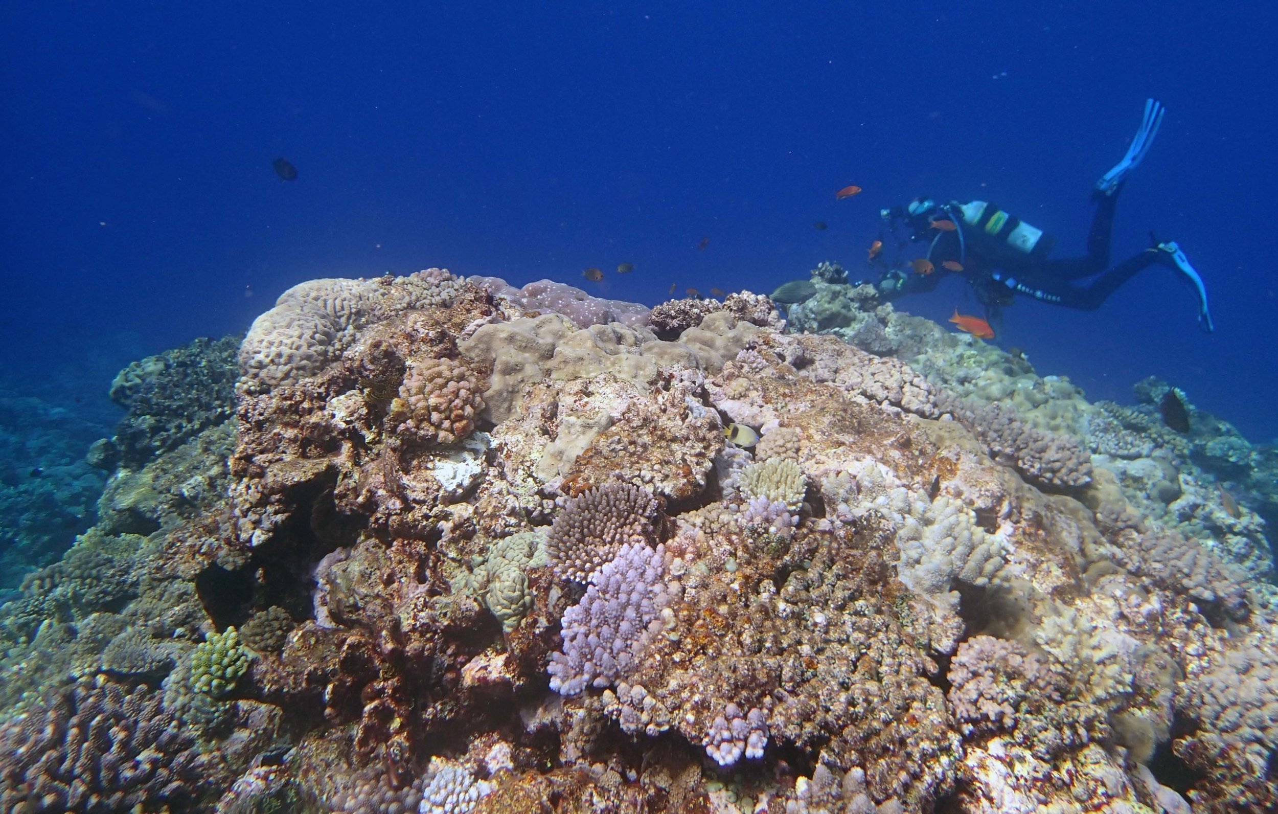 Joao in the shallows.jpg