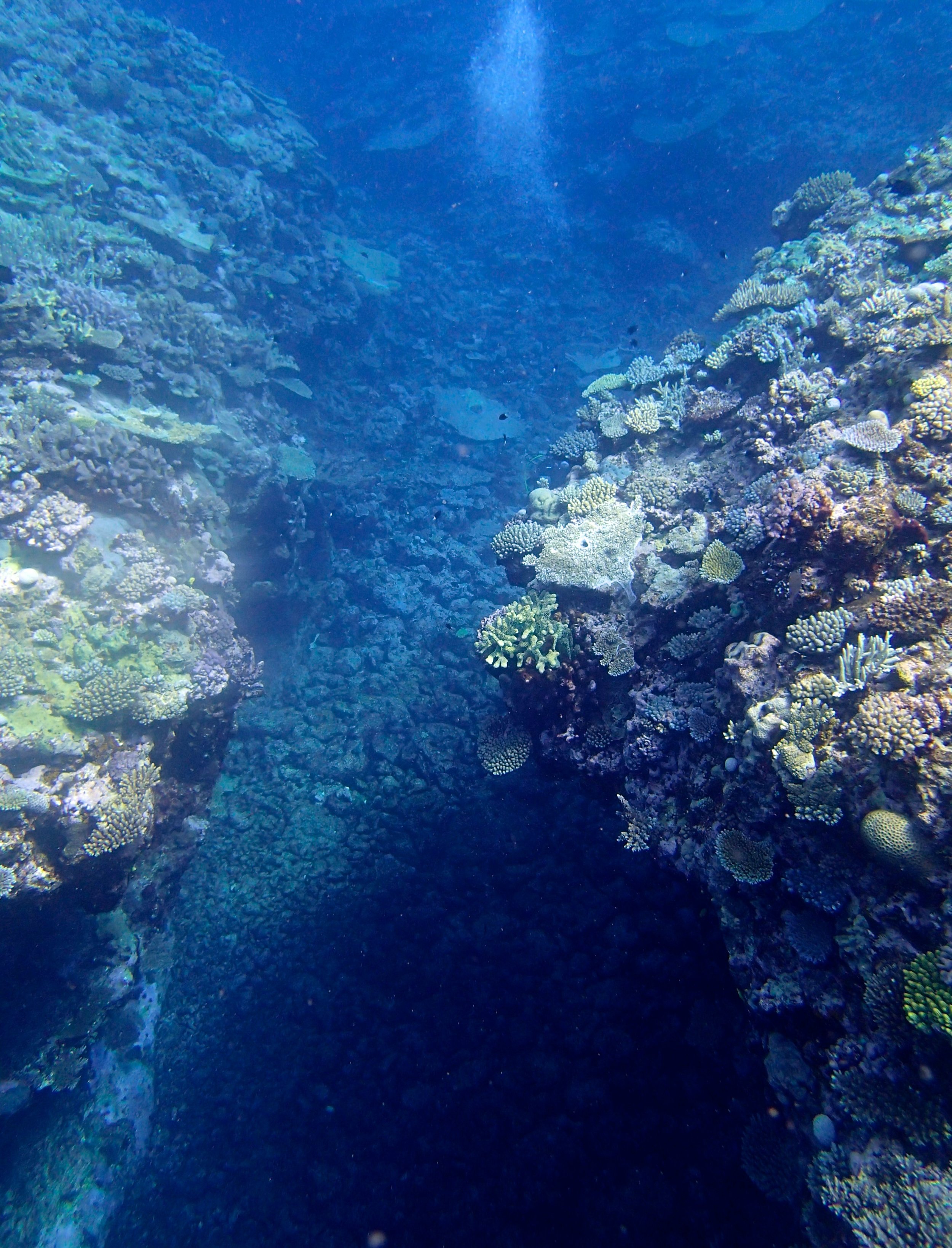 reef crevasse (1).jpg