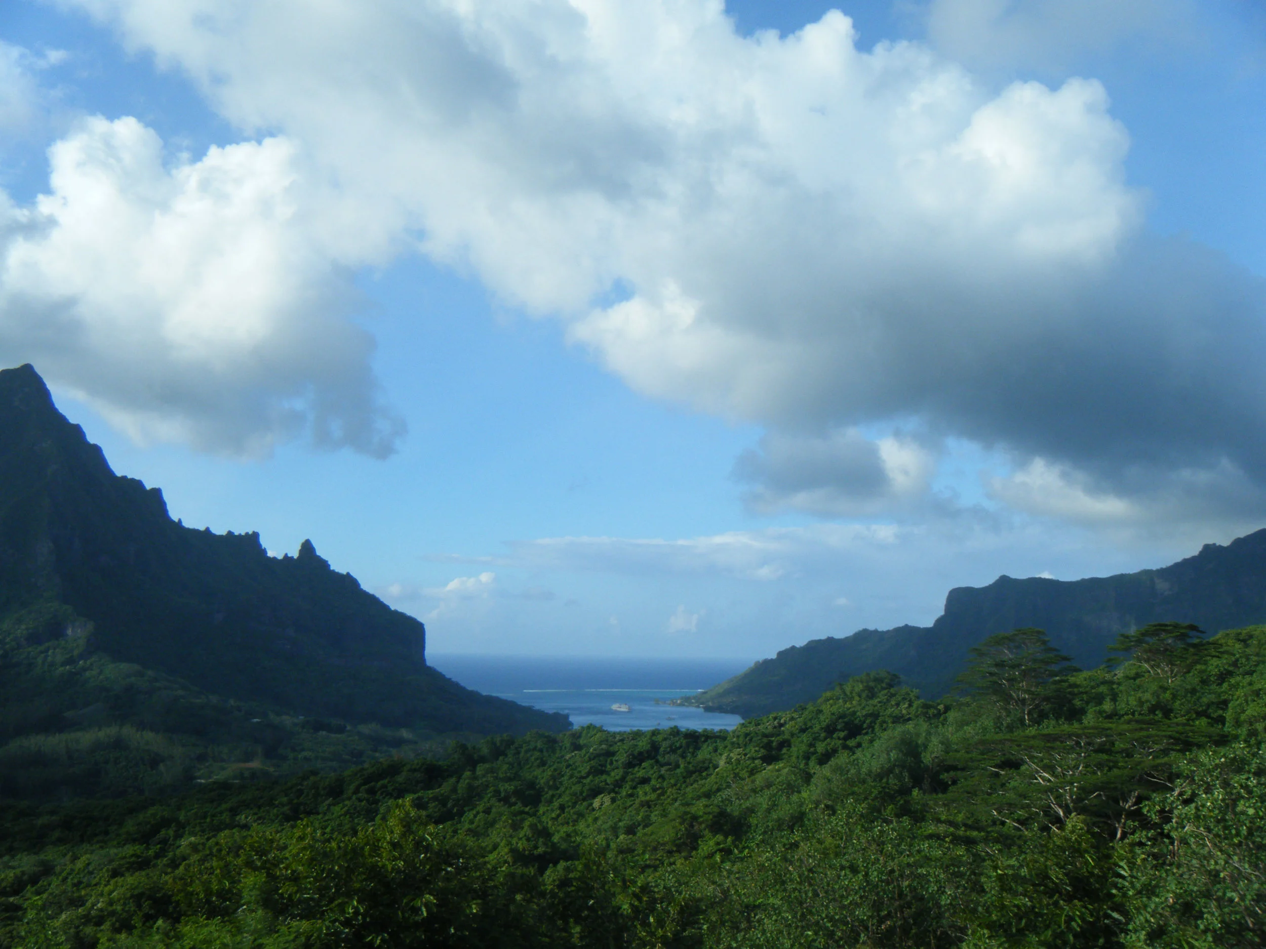 Cook's Bay from the lookout.jpg