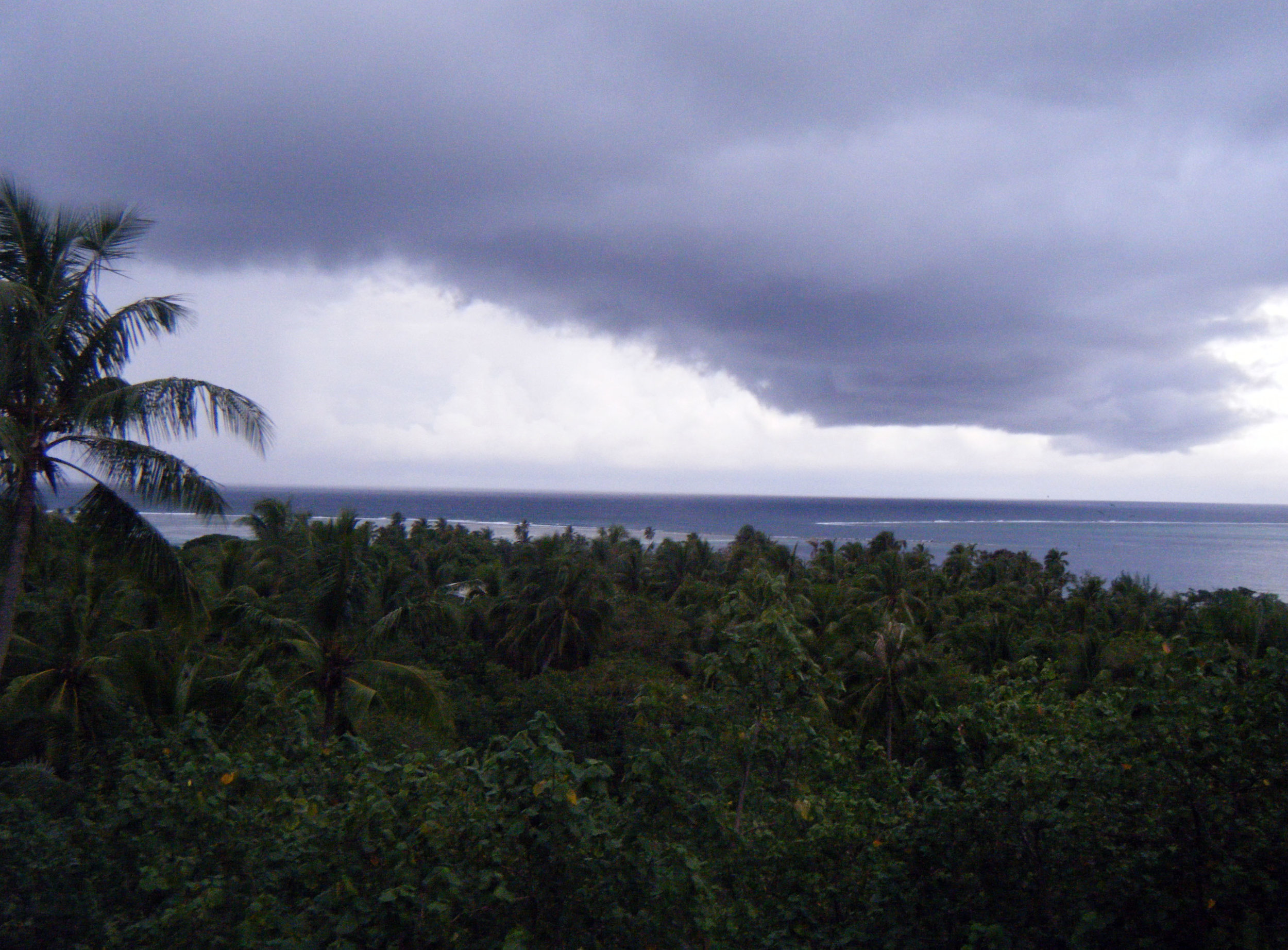 view from the bungalow.jpg