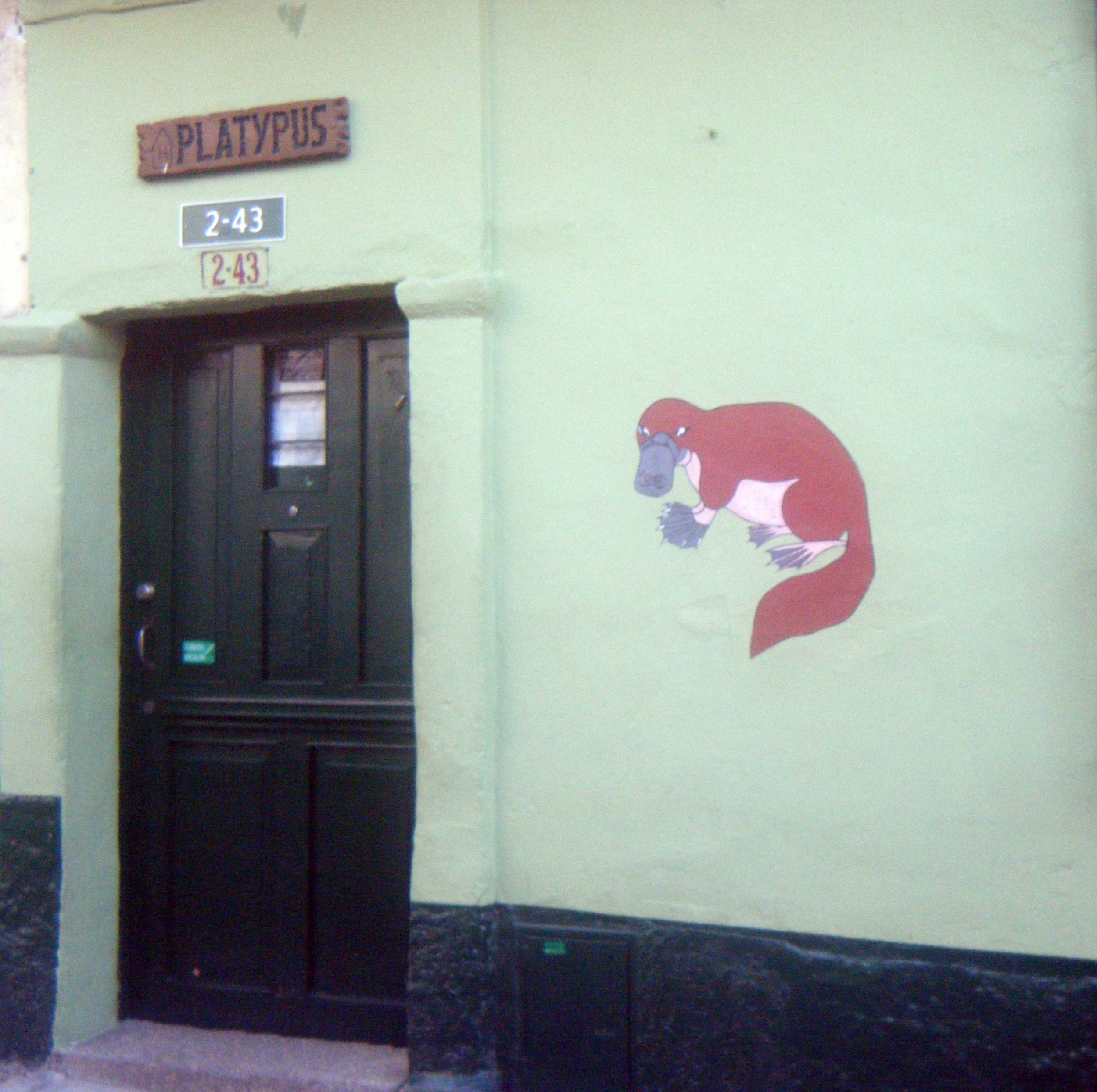 Hostel Platypus.jpg