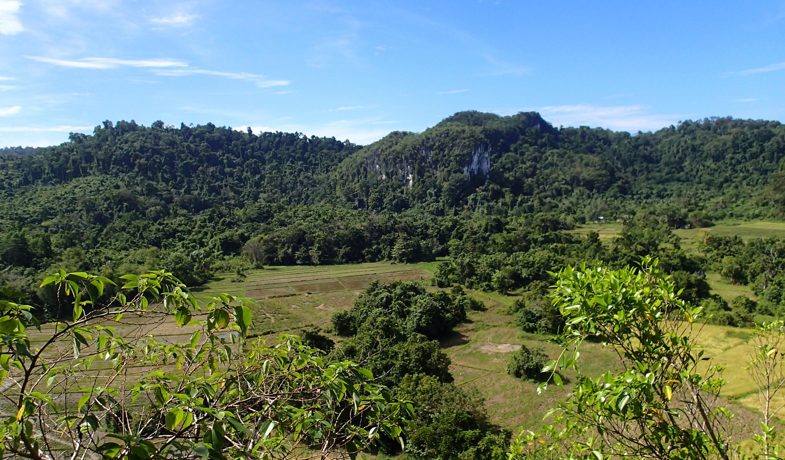 view from zipline platform.jpg