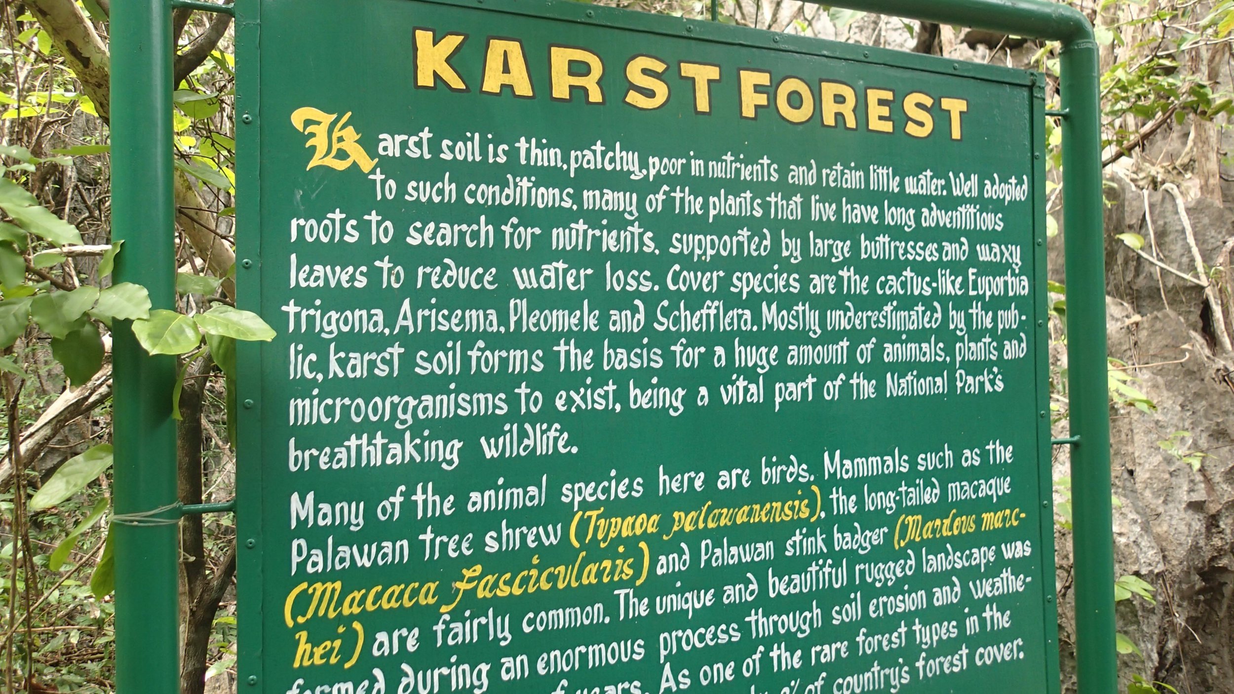 karst forest sign.jpg