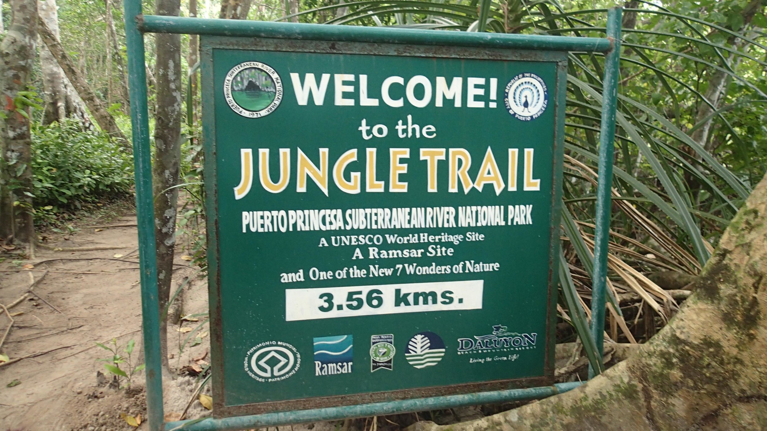 jungle trail.jpg