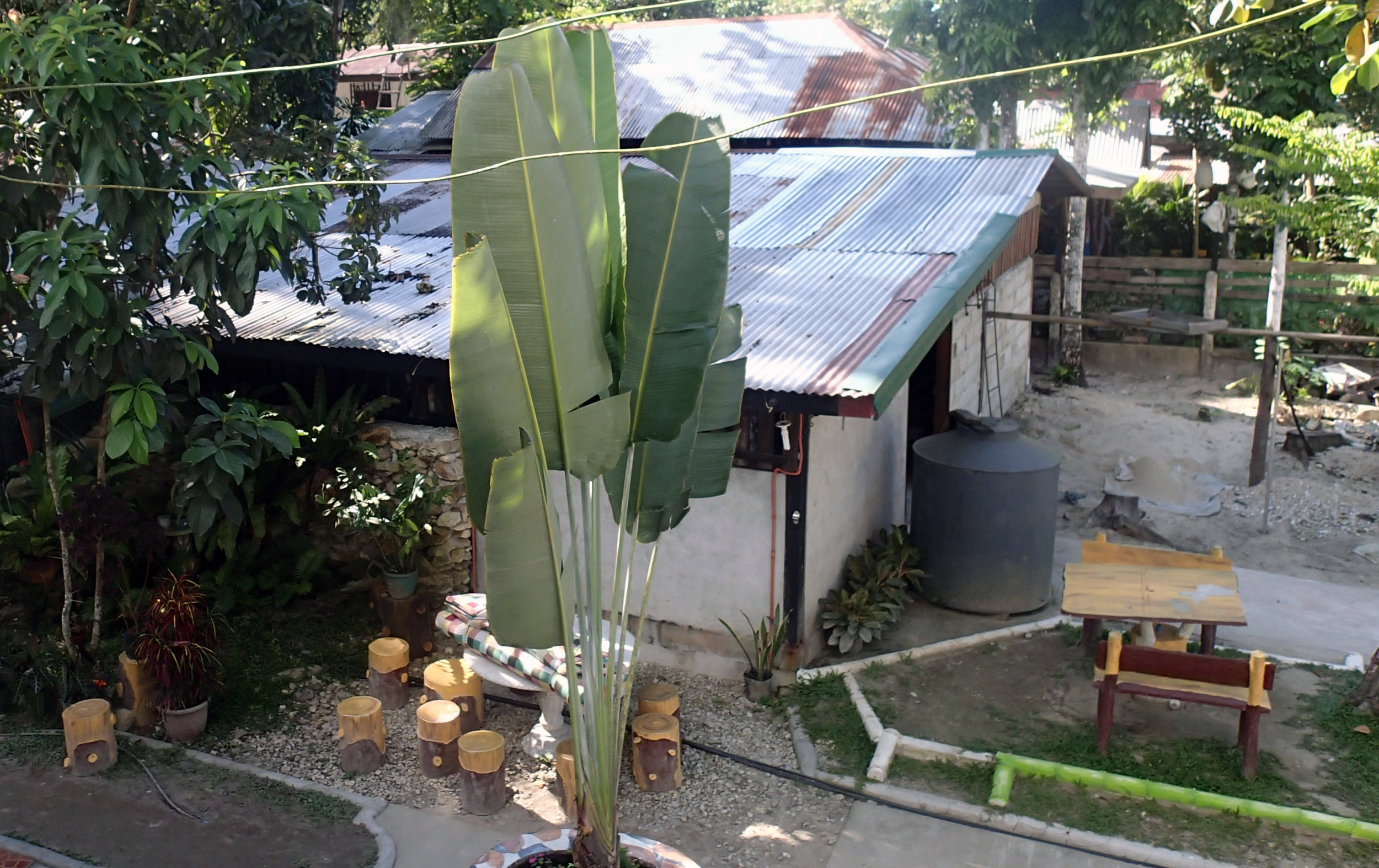 coconut oil refinery.jpg