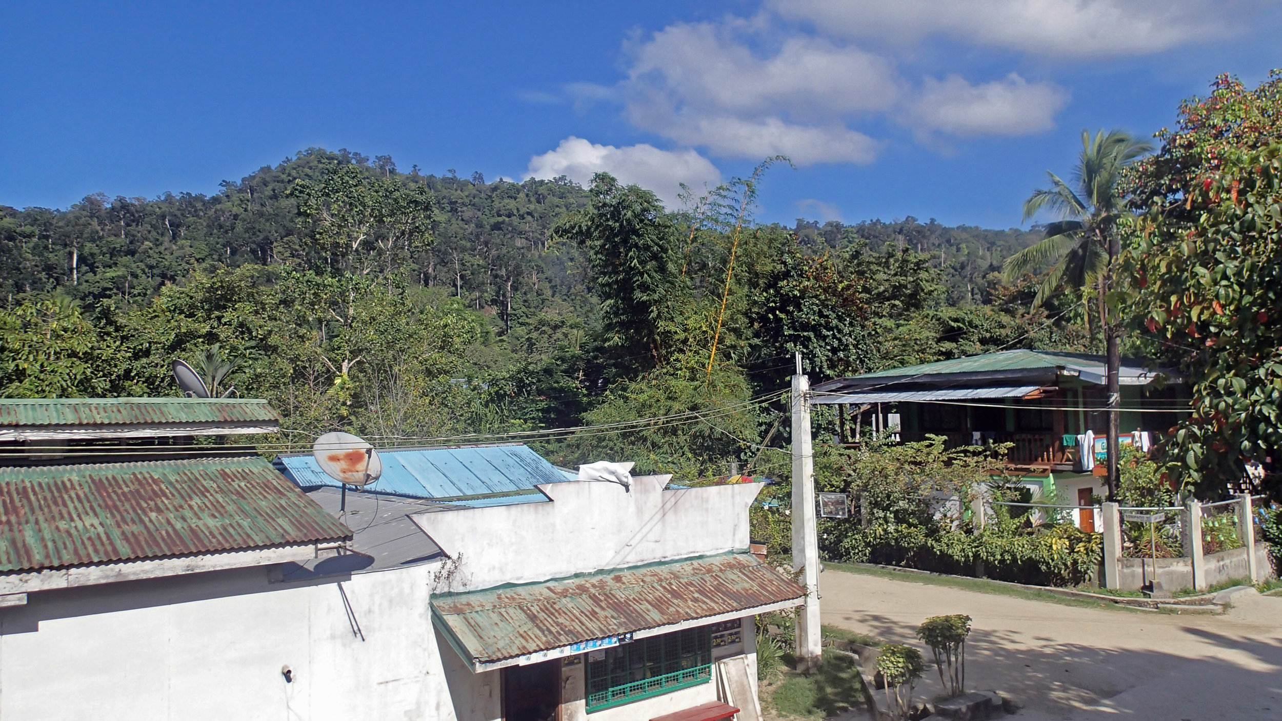 view from White Hauz Inn.jpg