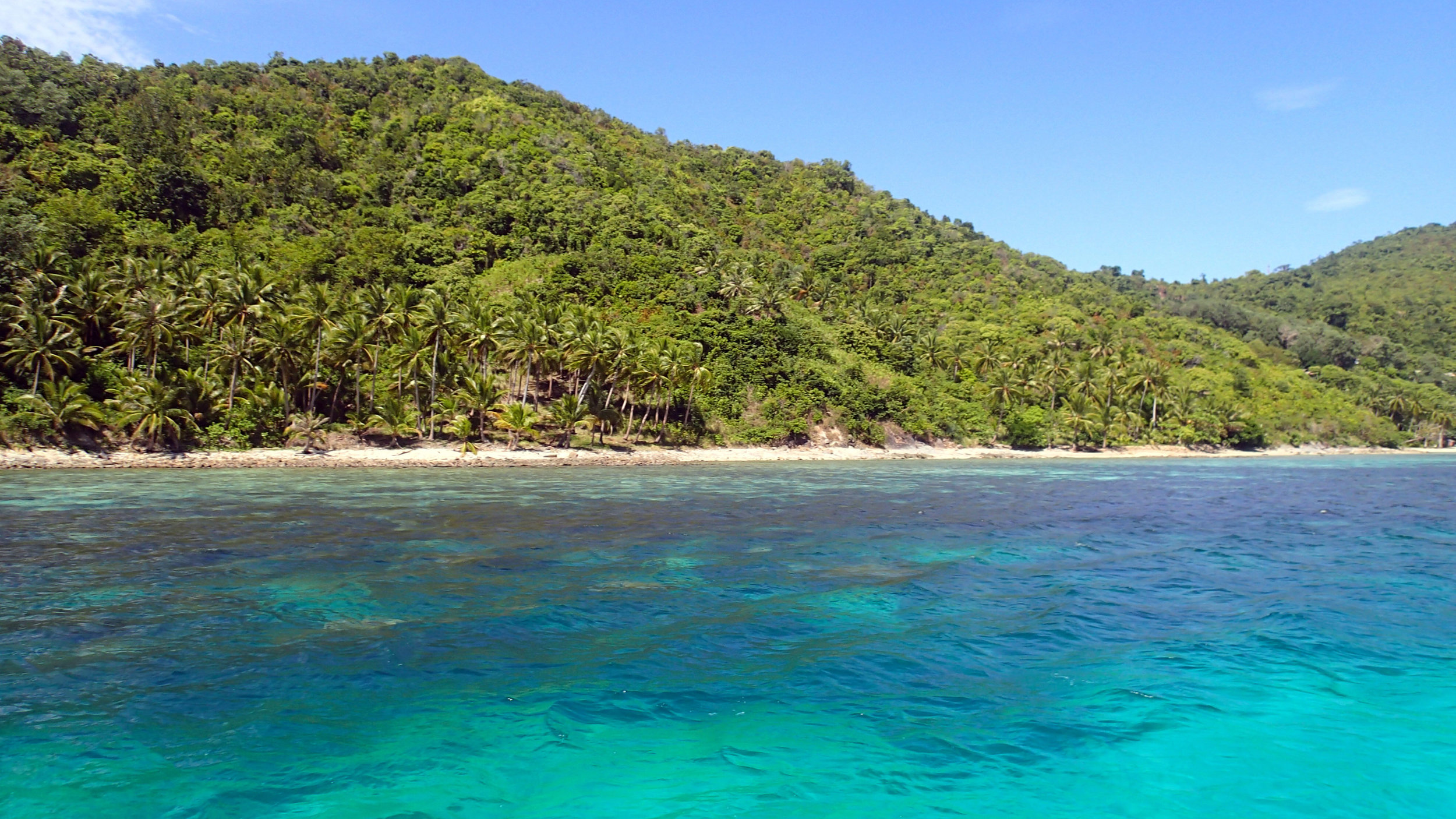 reefs of Port Barton.jpg