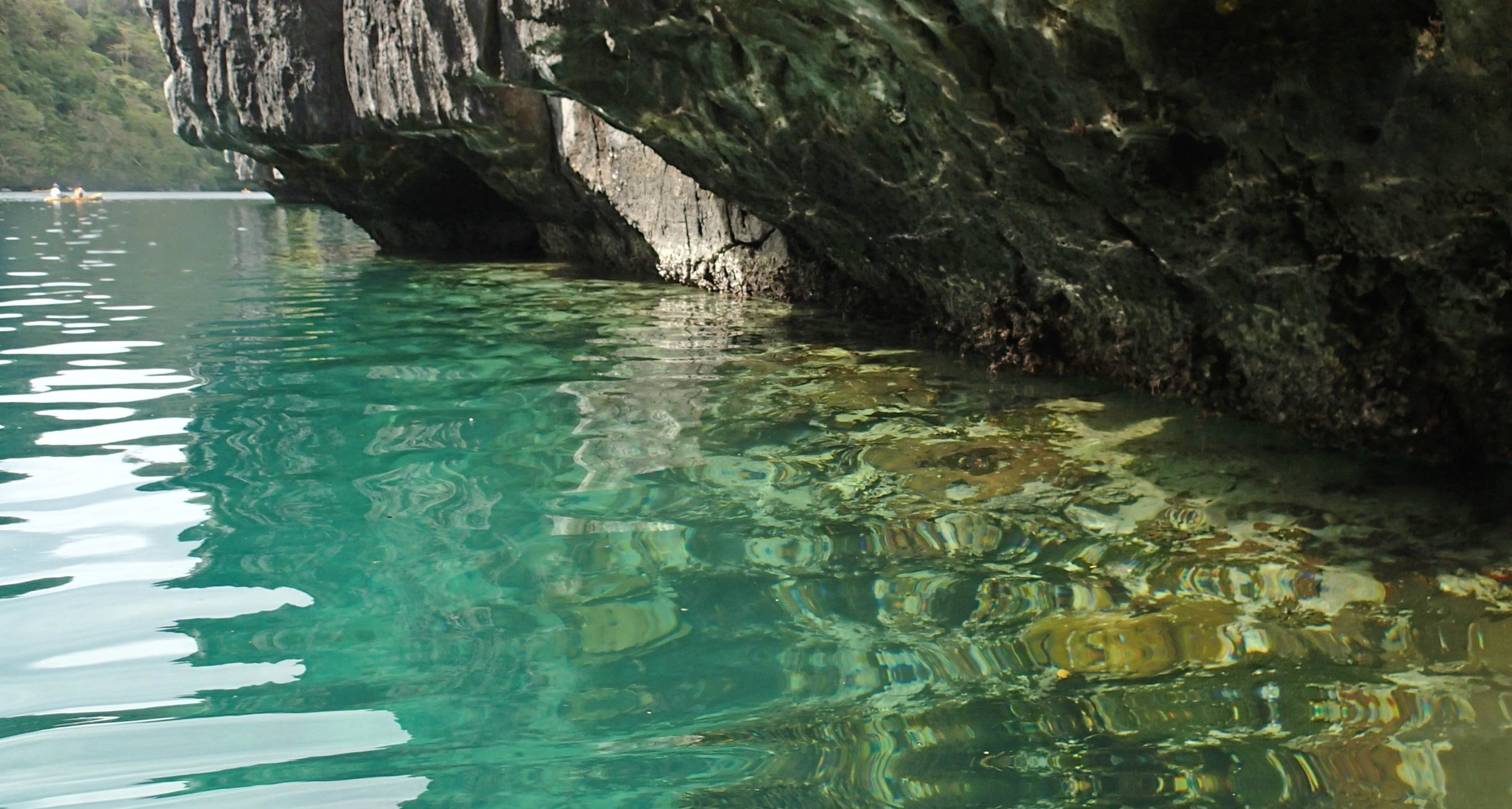 corals of Big Lagoon.jpg