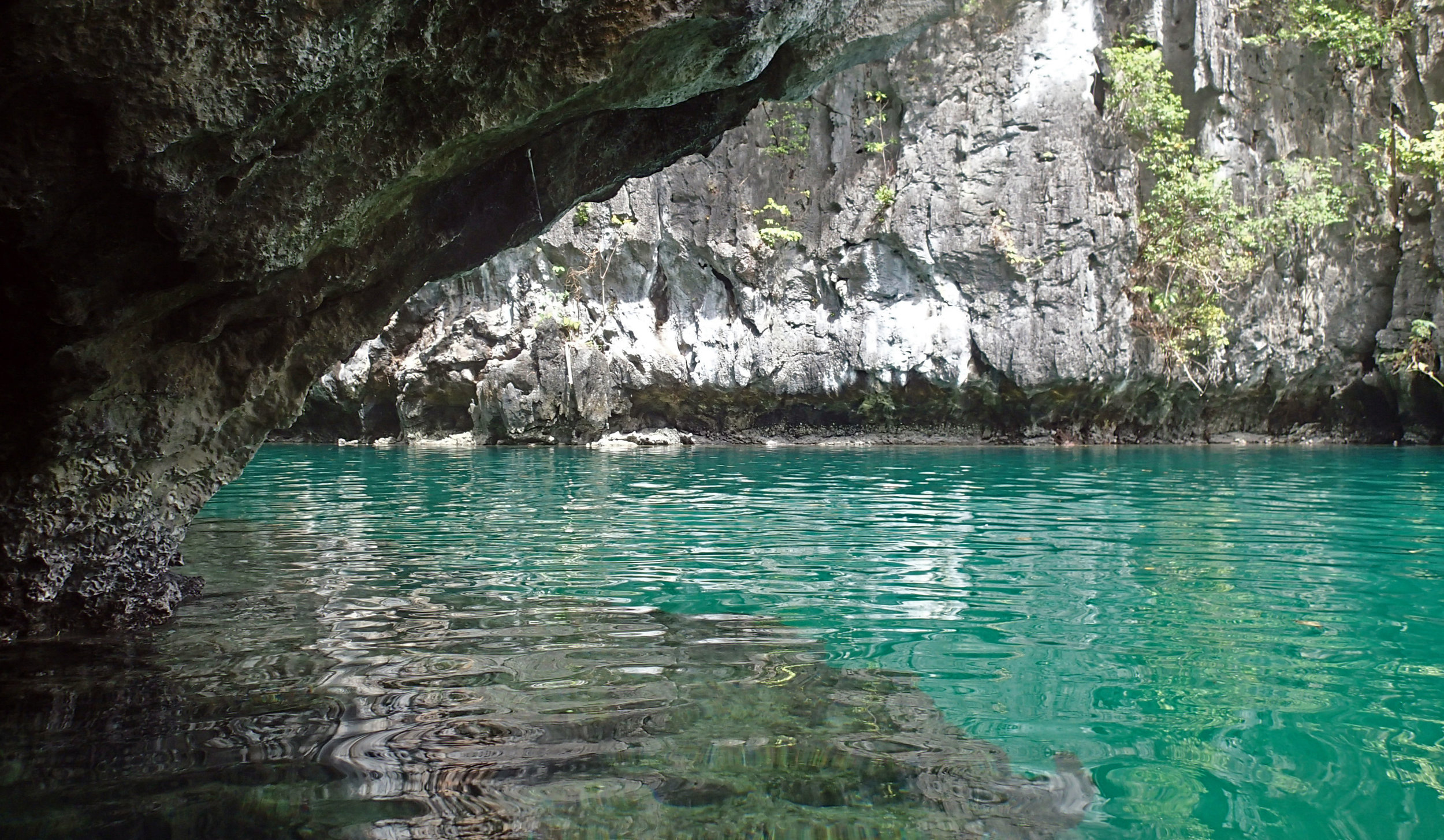 view from the cave.jpg