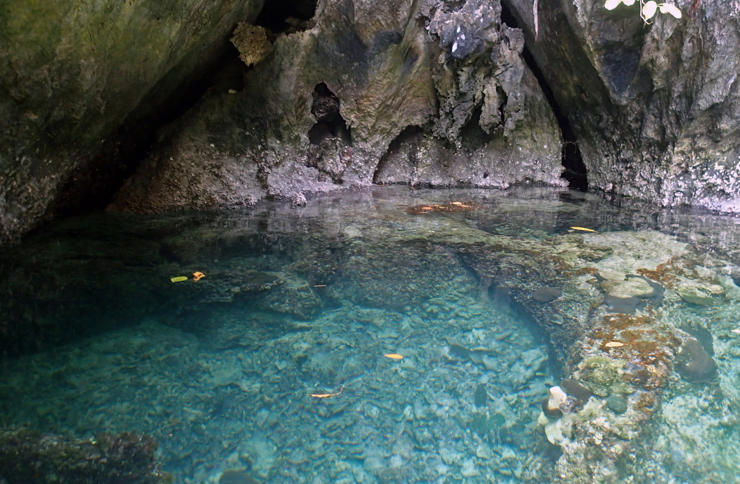 amazing cavern.jpg