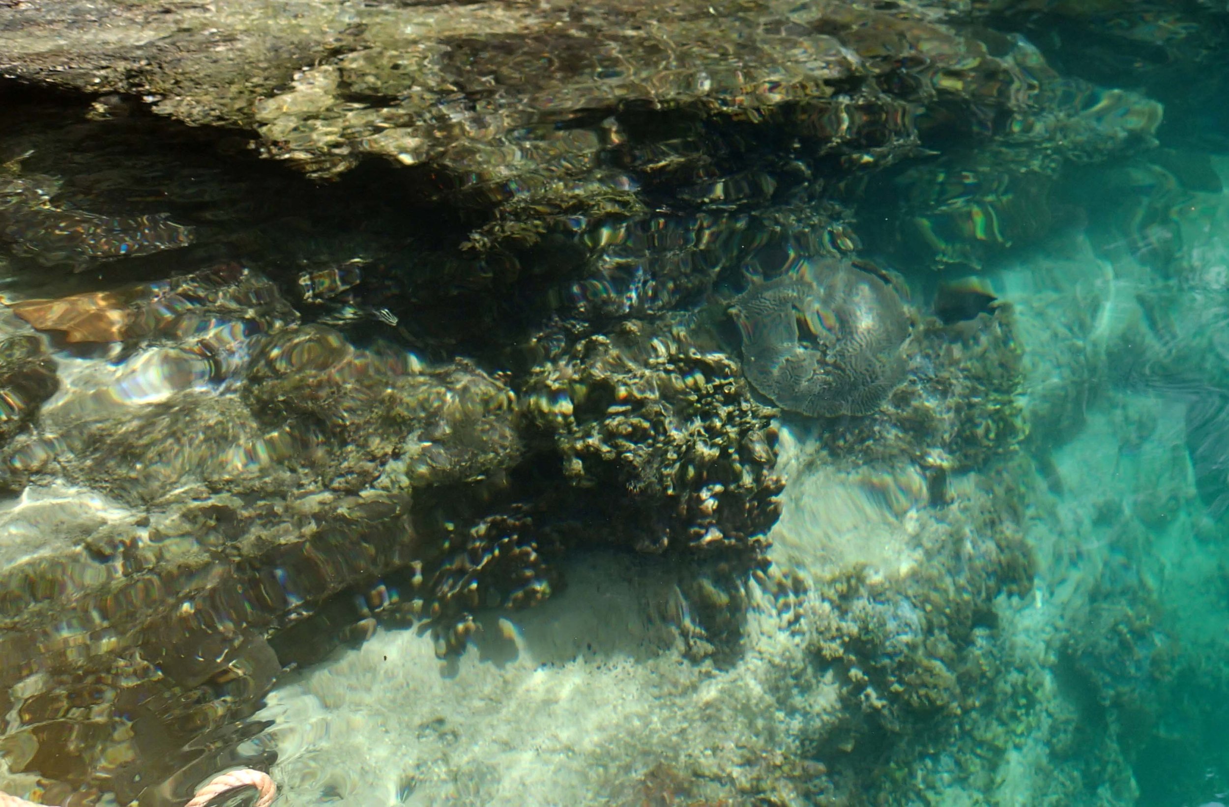 from the surface-small lagoon.jpg