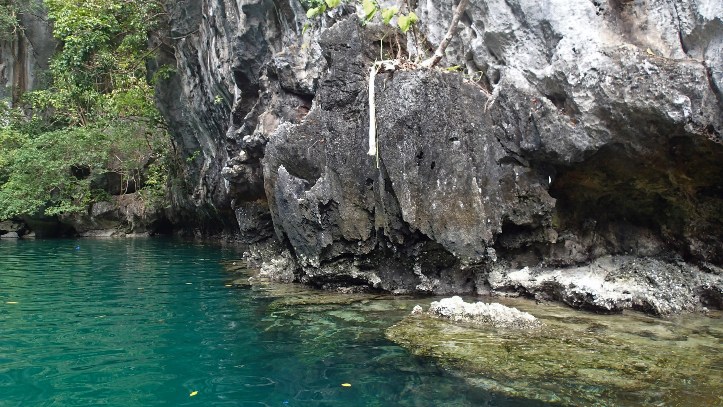 karst lagoon.jpg