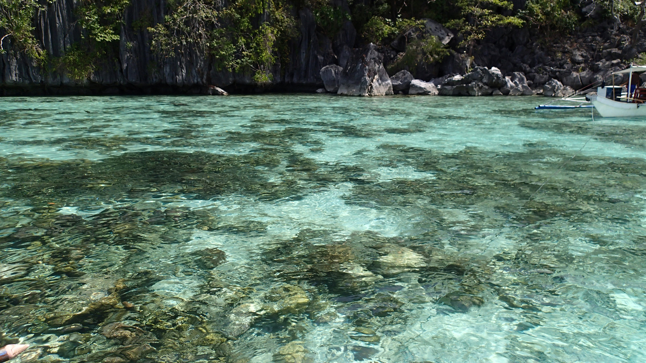 shallow corals of Twin Lagoon.jpg