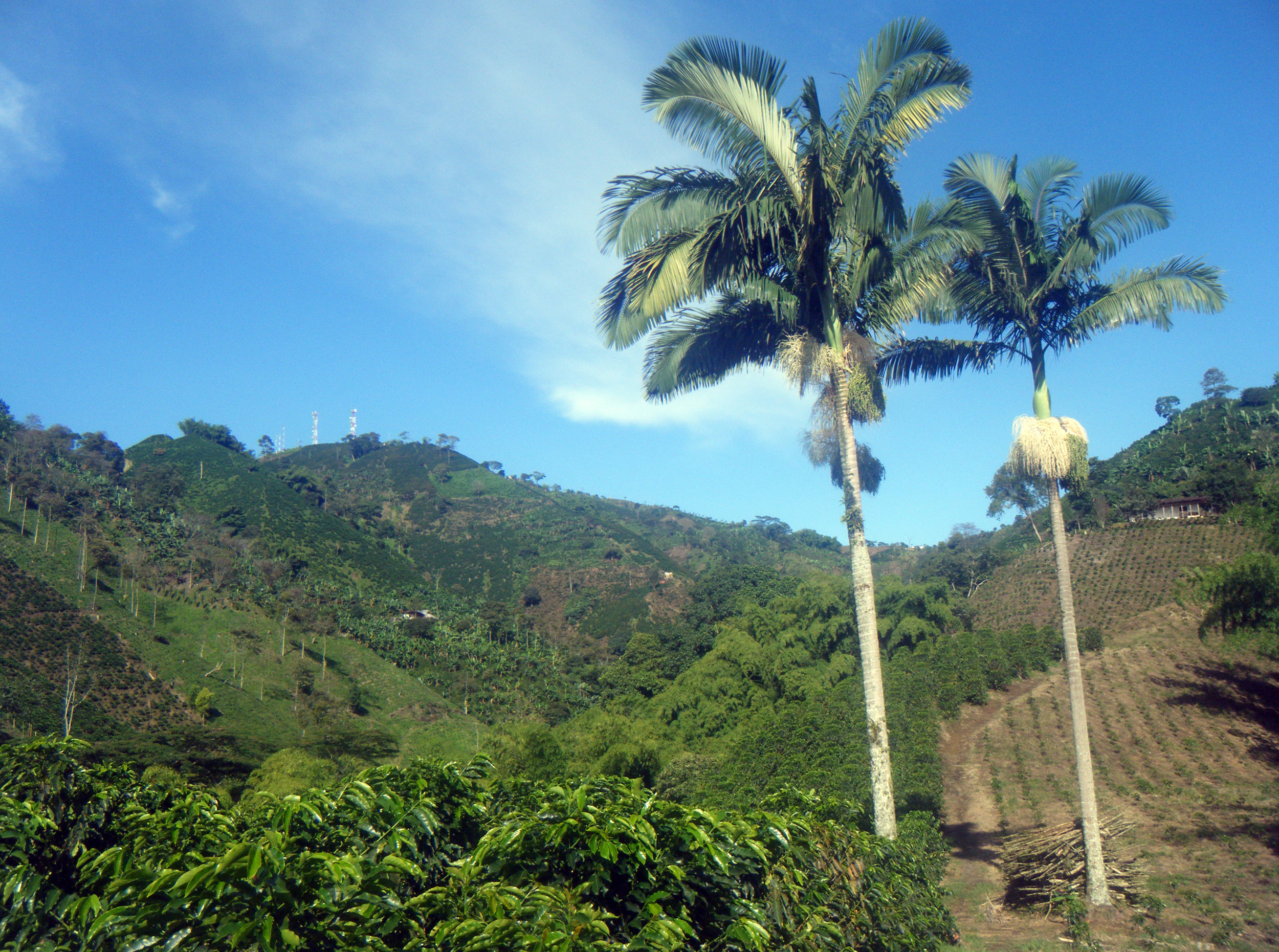 stunning northwestern Colombia.jpg