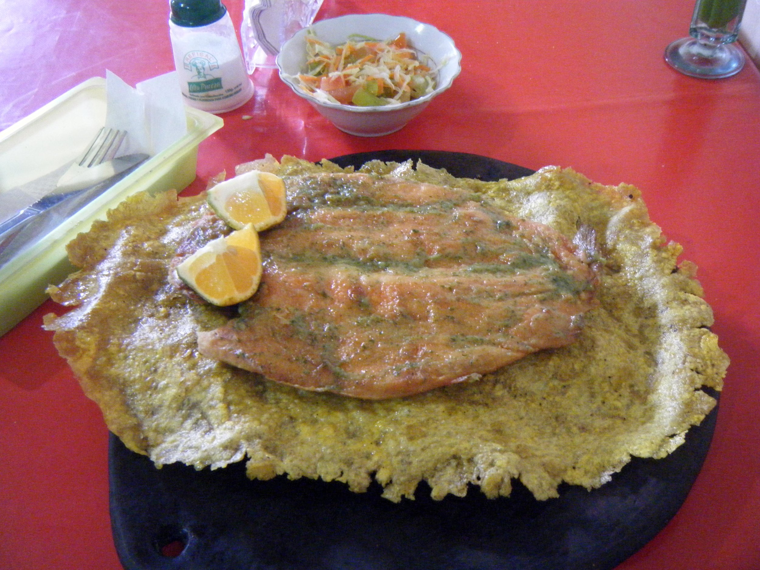 trout on a patacone.jpg