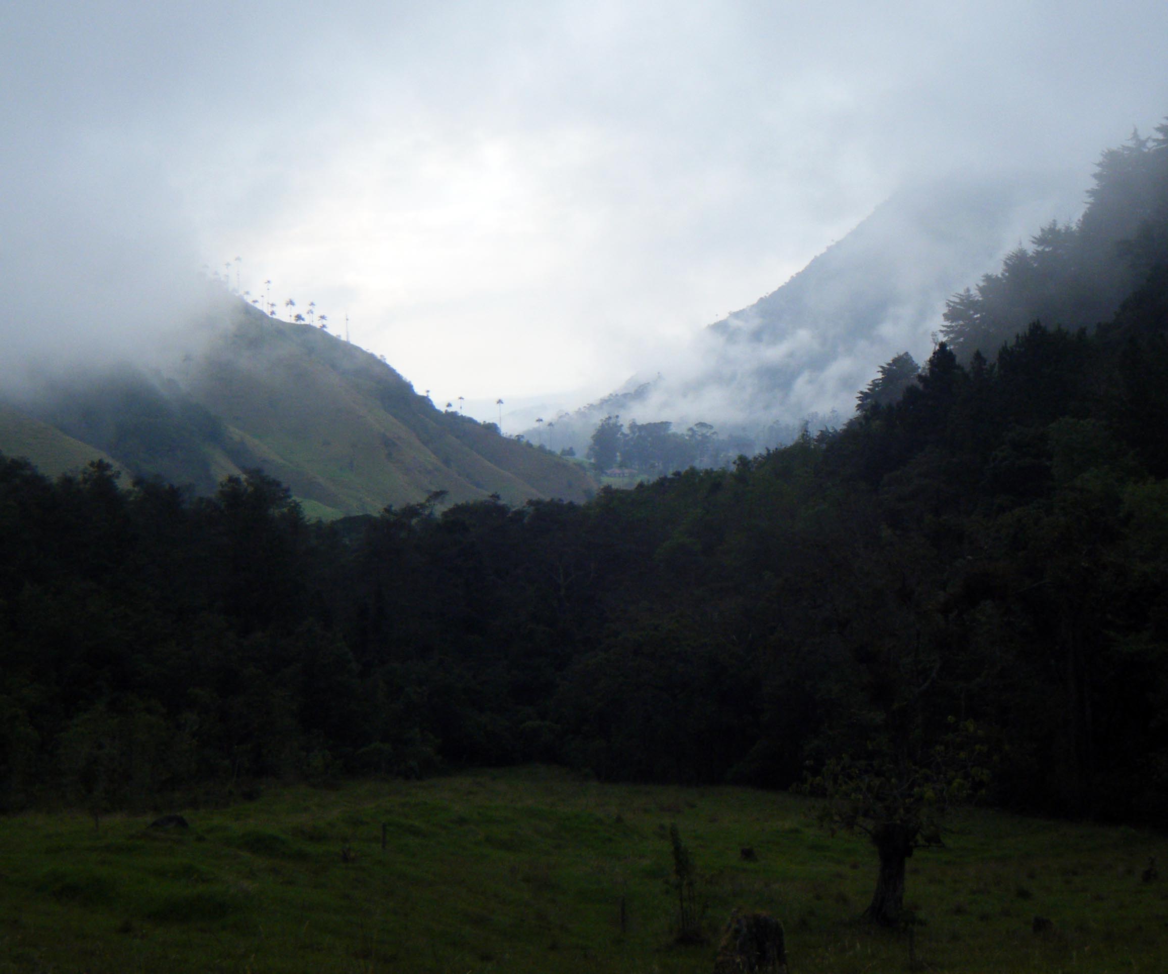 Valle de Cocura.jpg