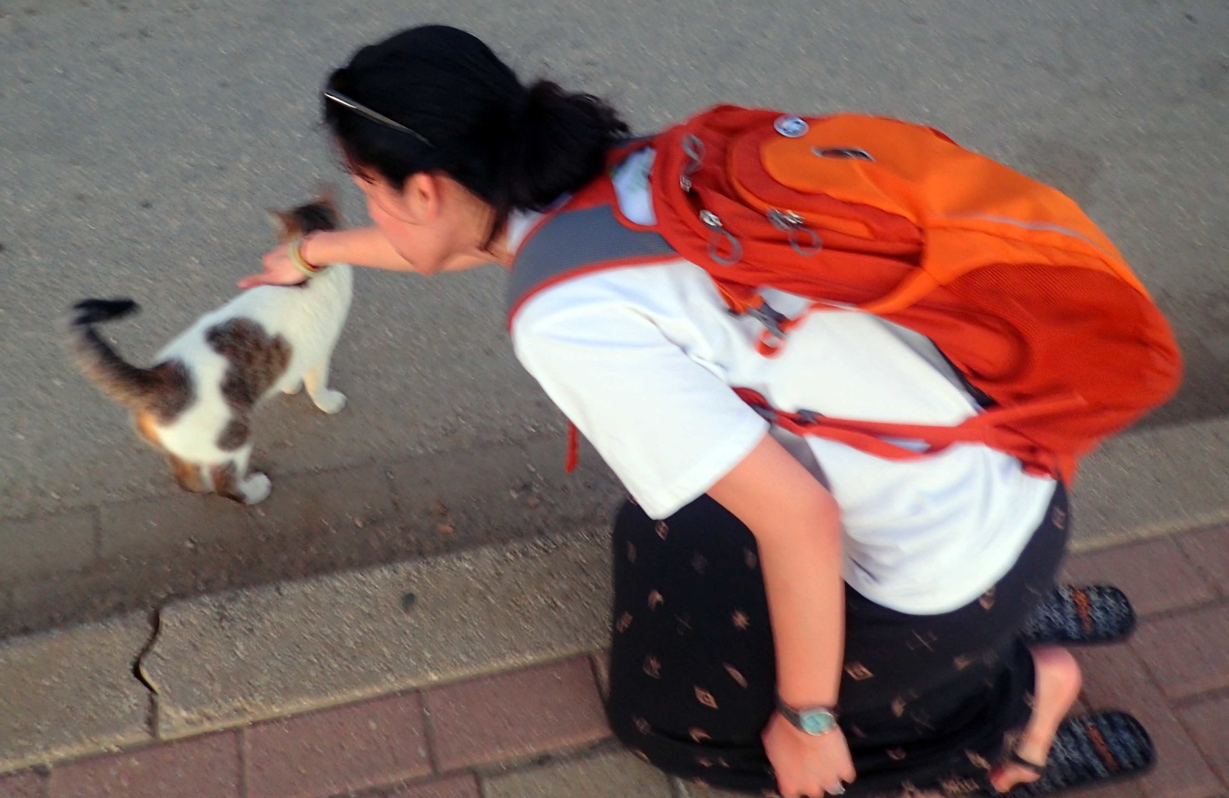 Ciao and street kitty.jpg