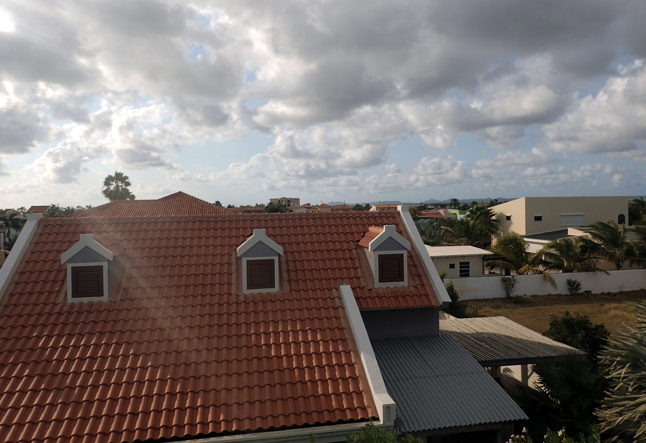 view from the roof.jpg