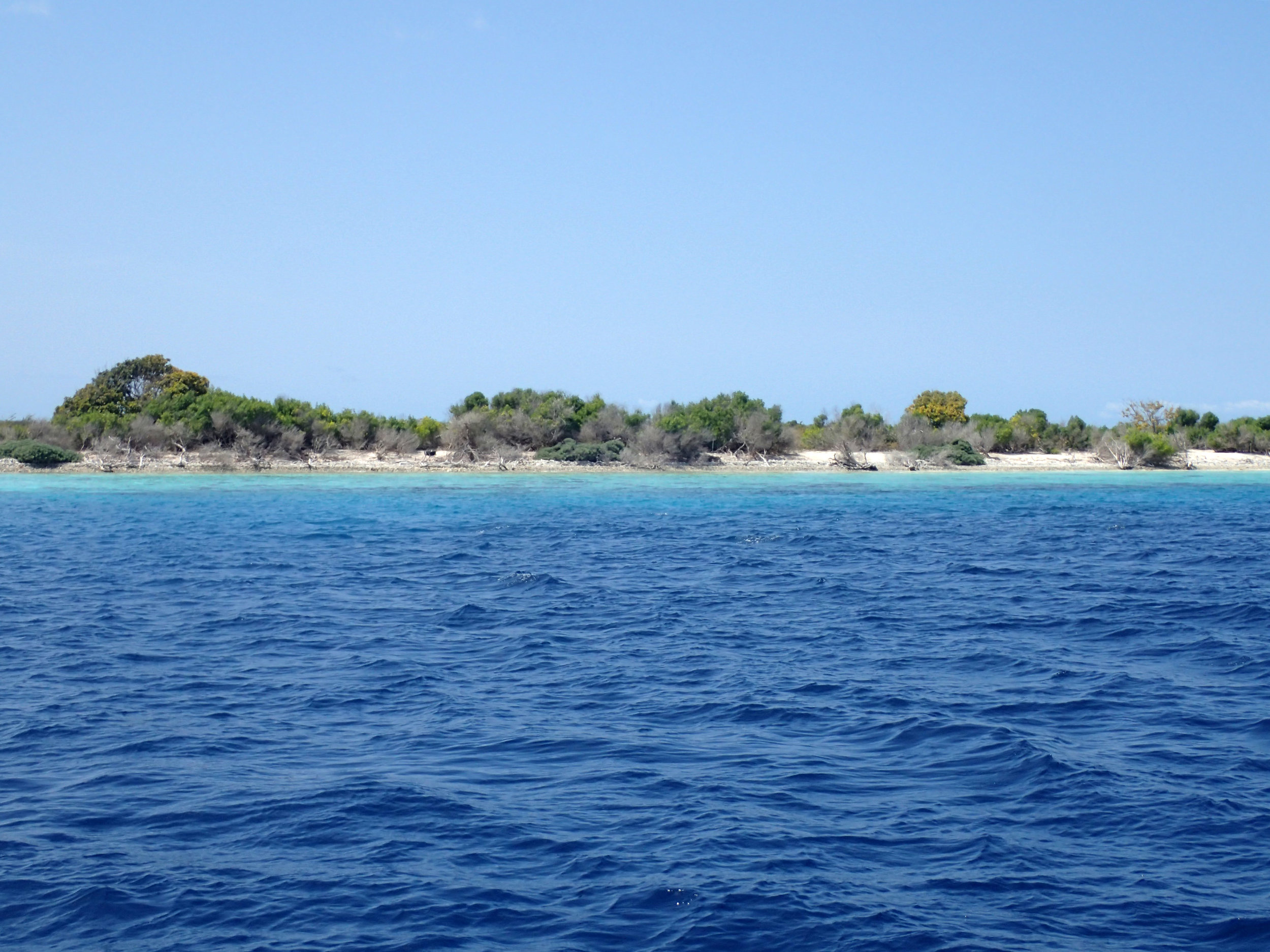 deserted beach.jpg