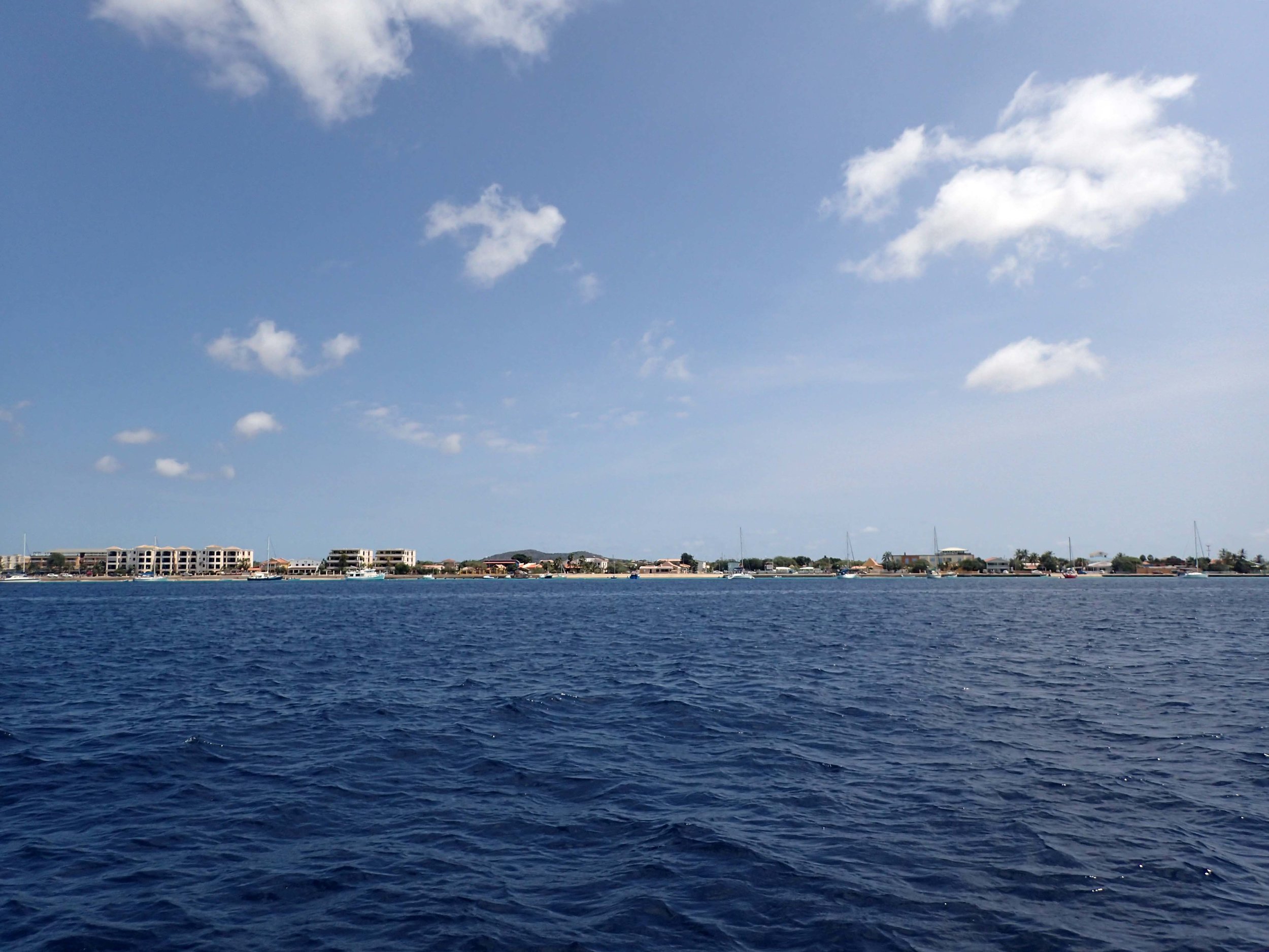 view from the ferry.jpg