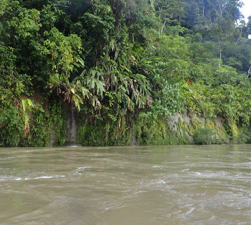 Amazon headwaters.jpg
