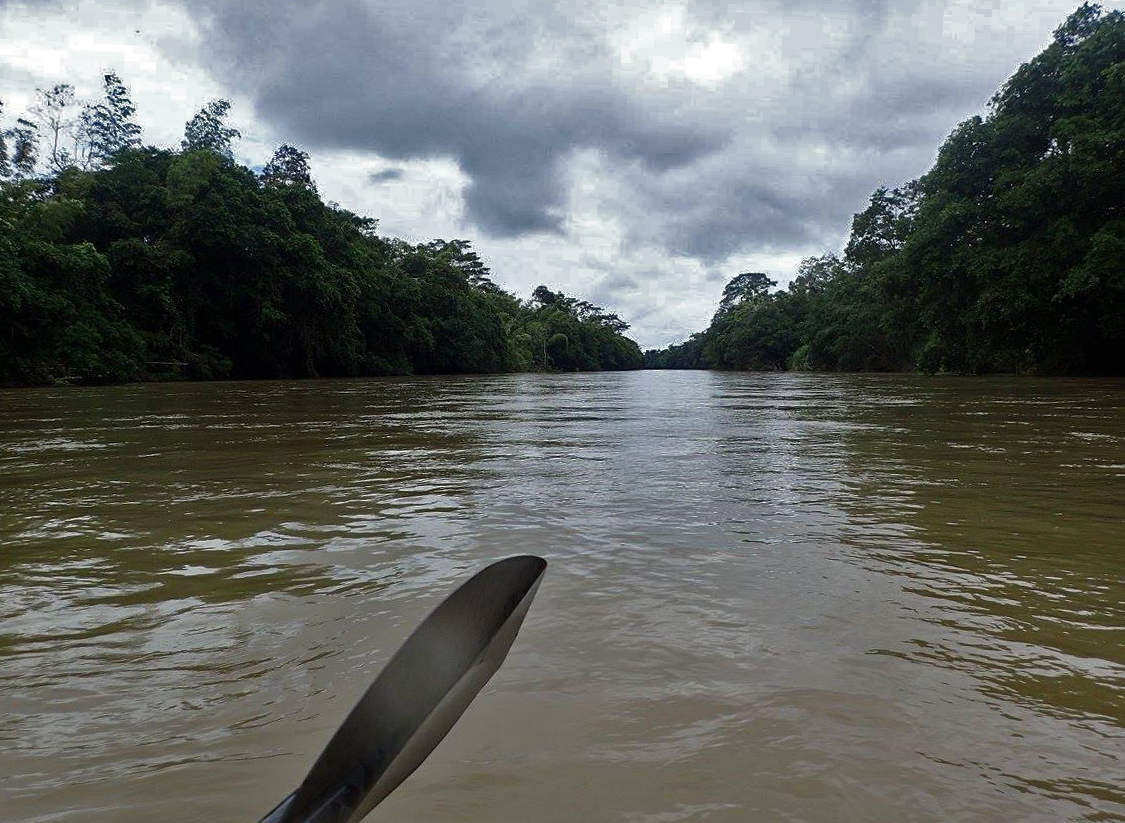 kayaking the Amazon.jpg