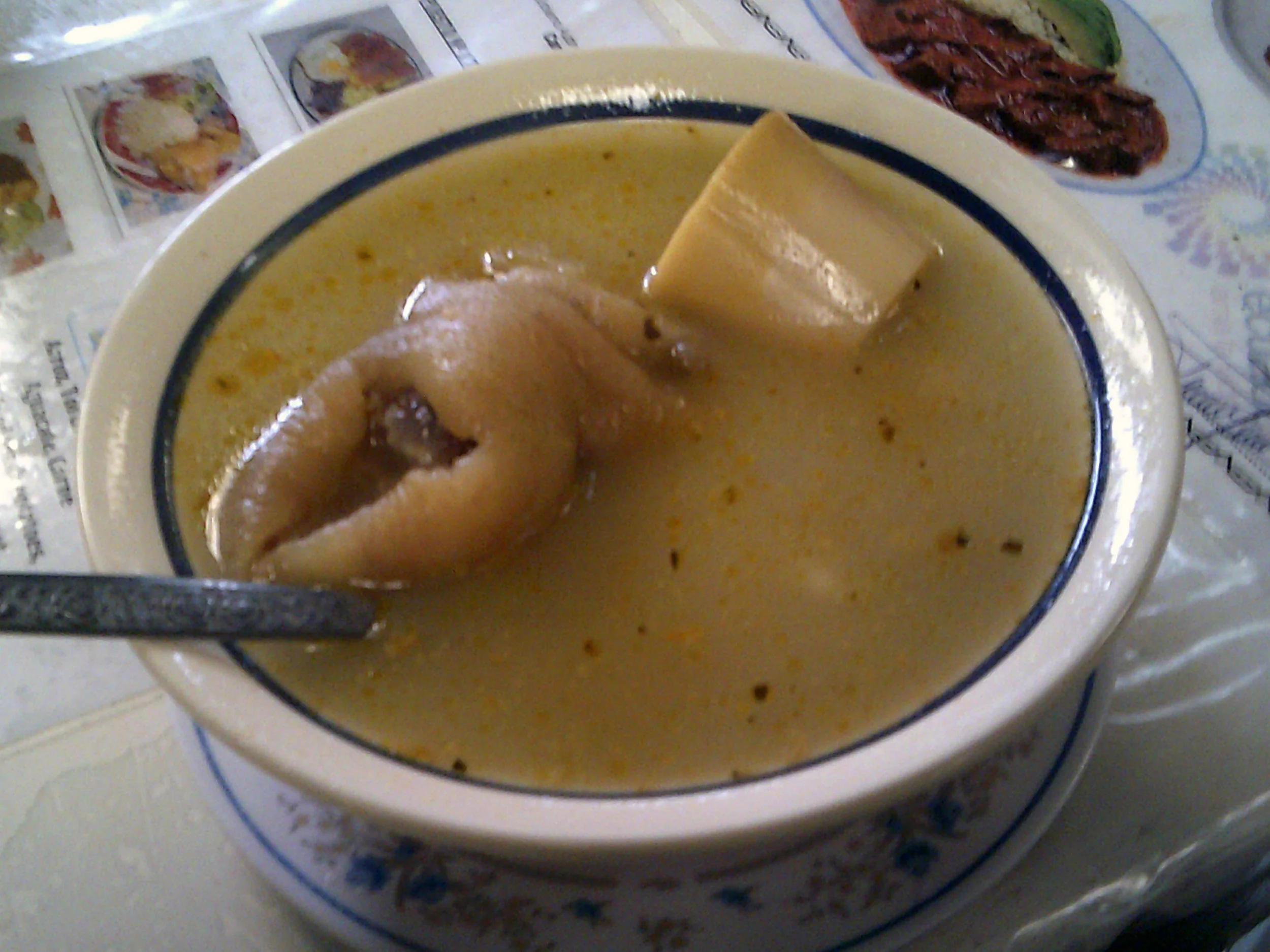 pig foot soup.jpg