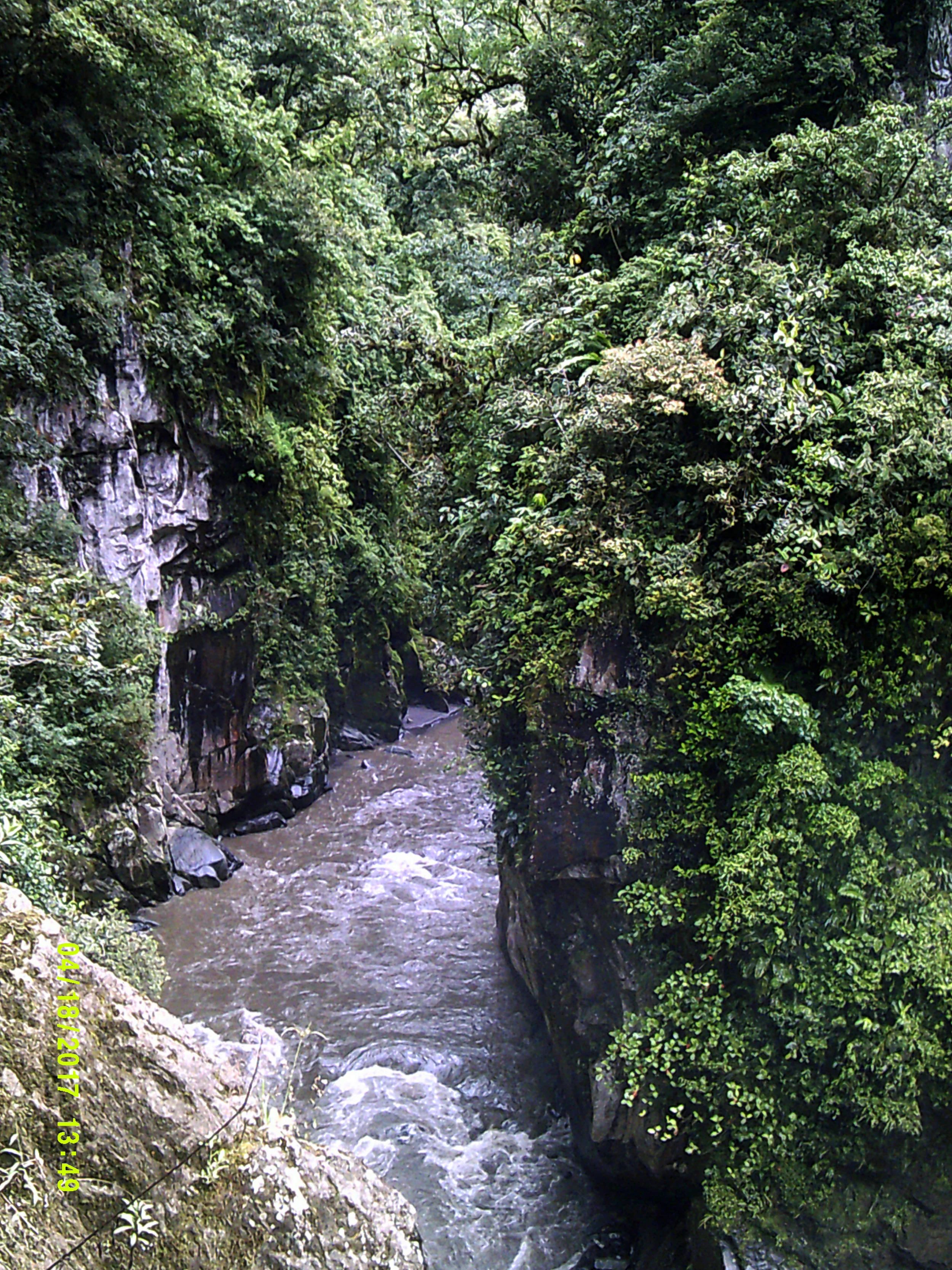 lush canyon.jpg