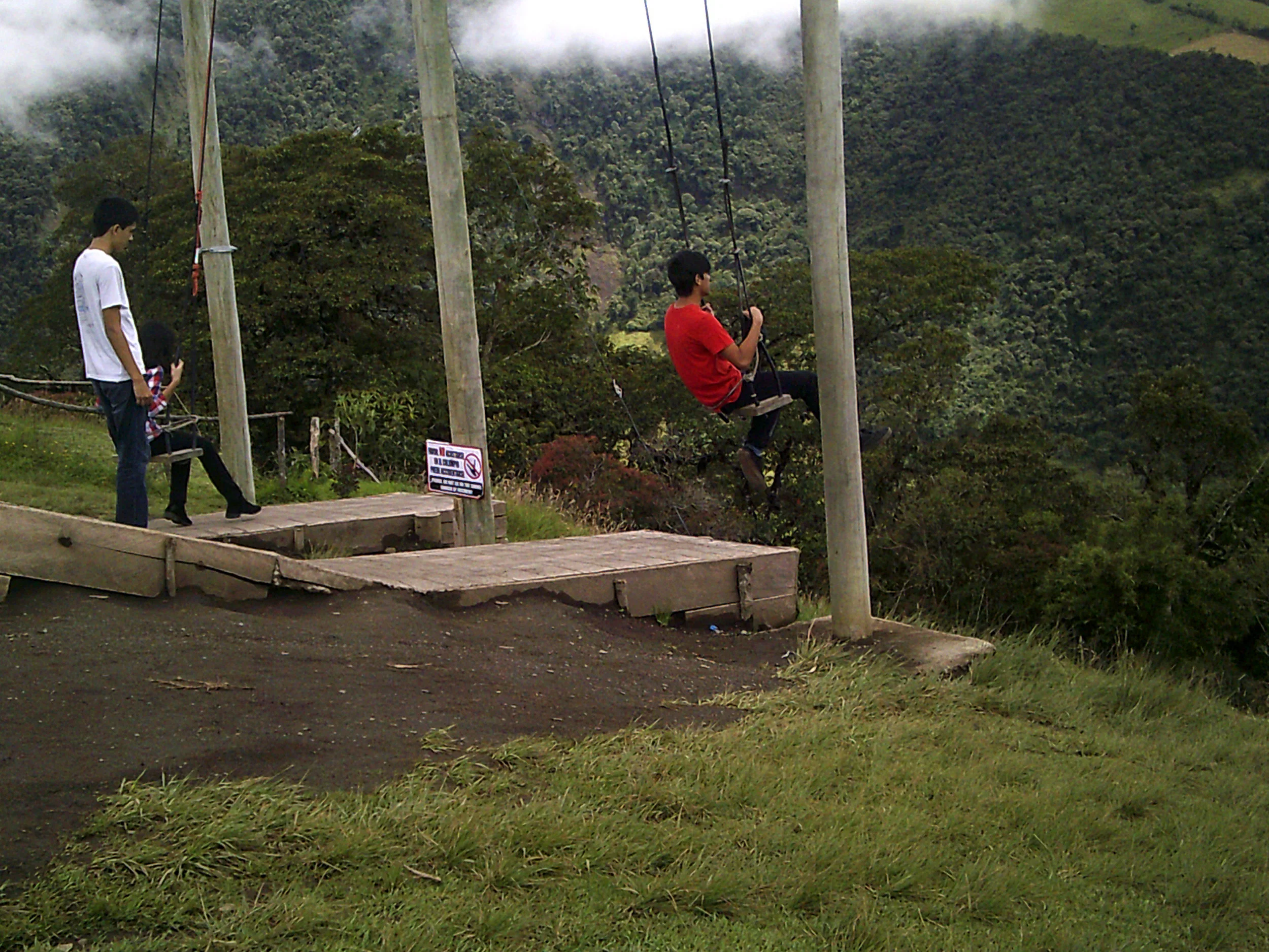 swings at the Tree House.jpg