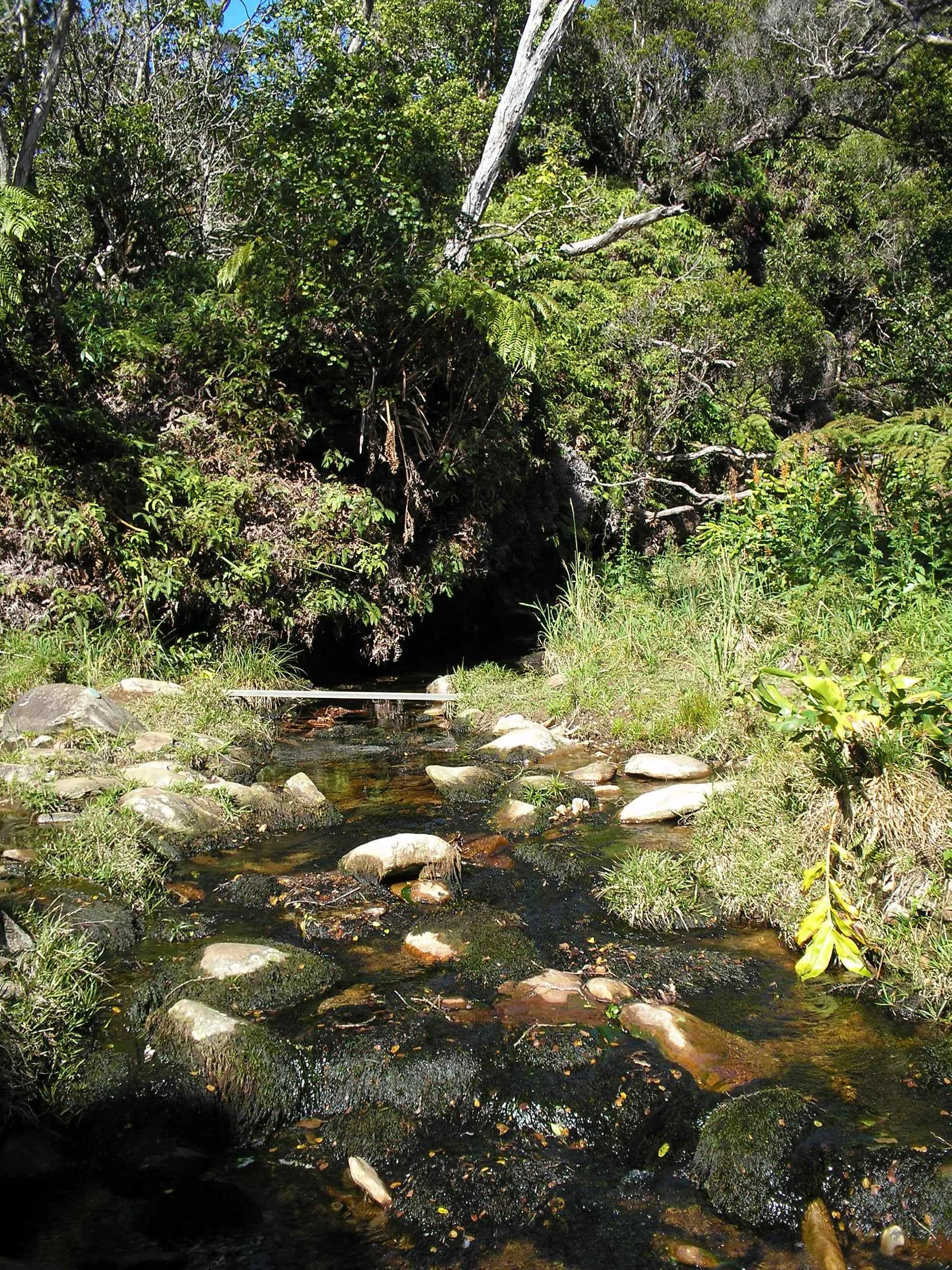 alakai stream 2.JPG