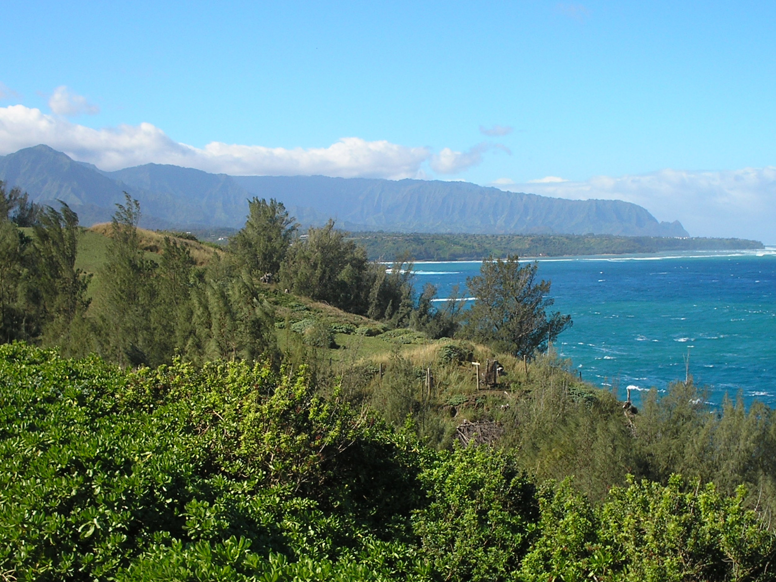 east coast kauai.jpg