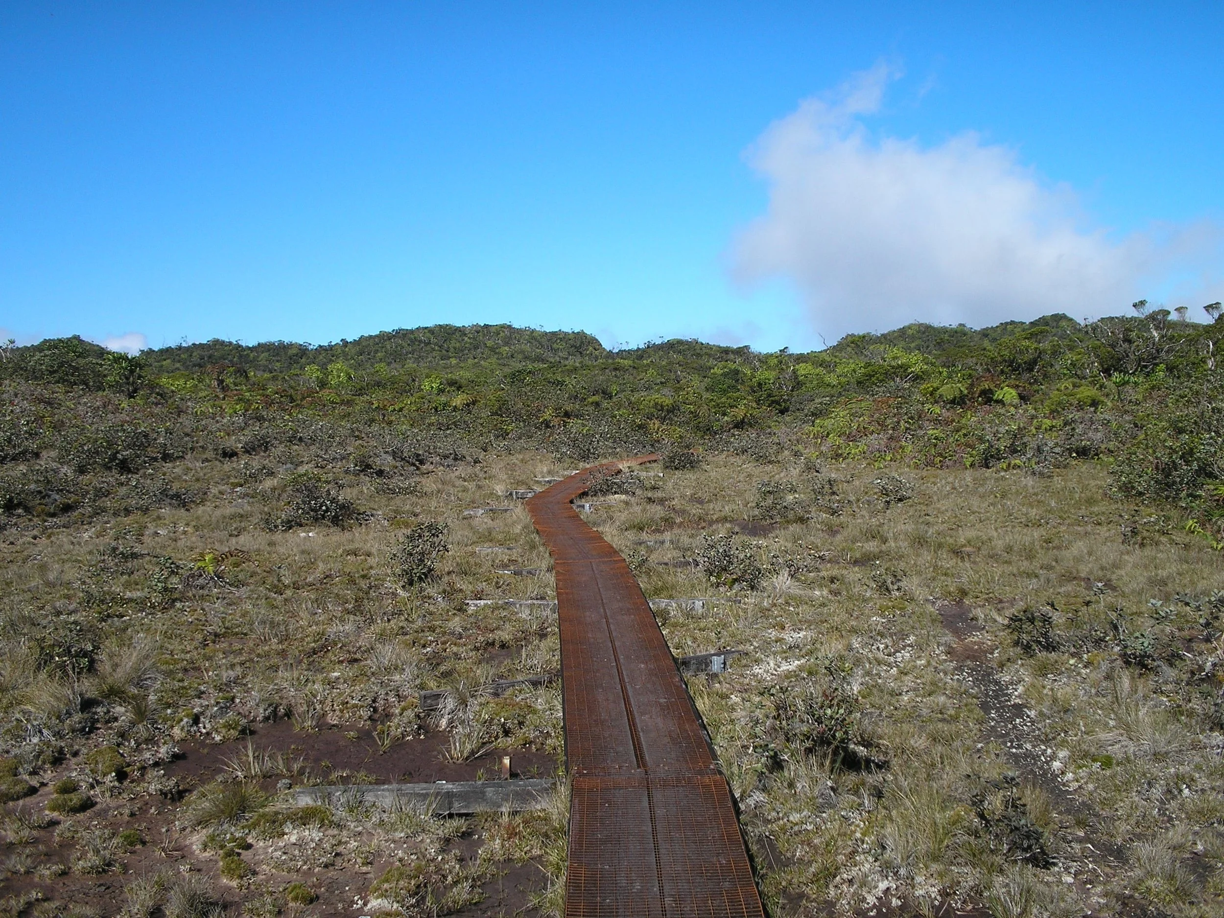 towards the lookout.JPG