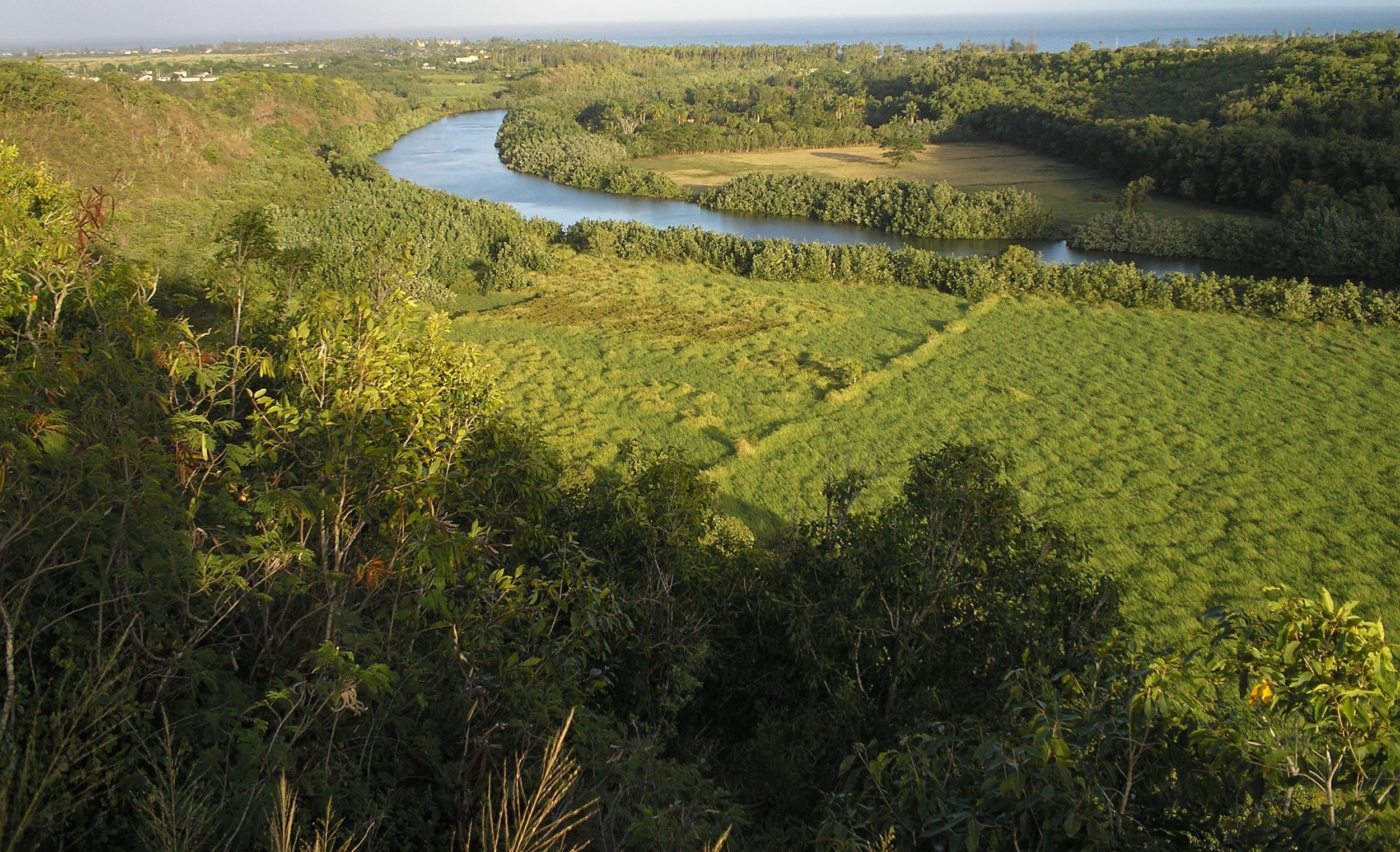 wailua river.JPG