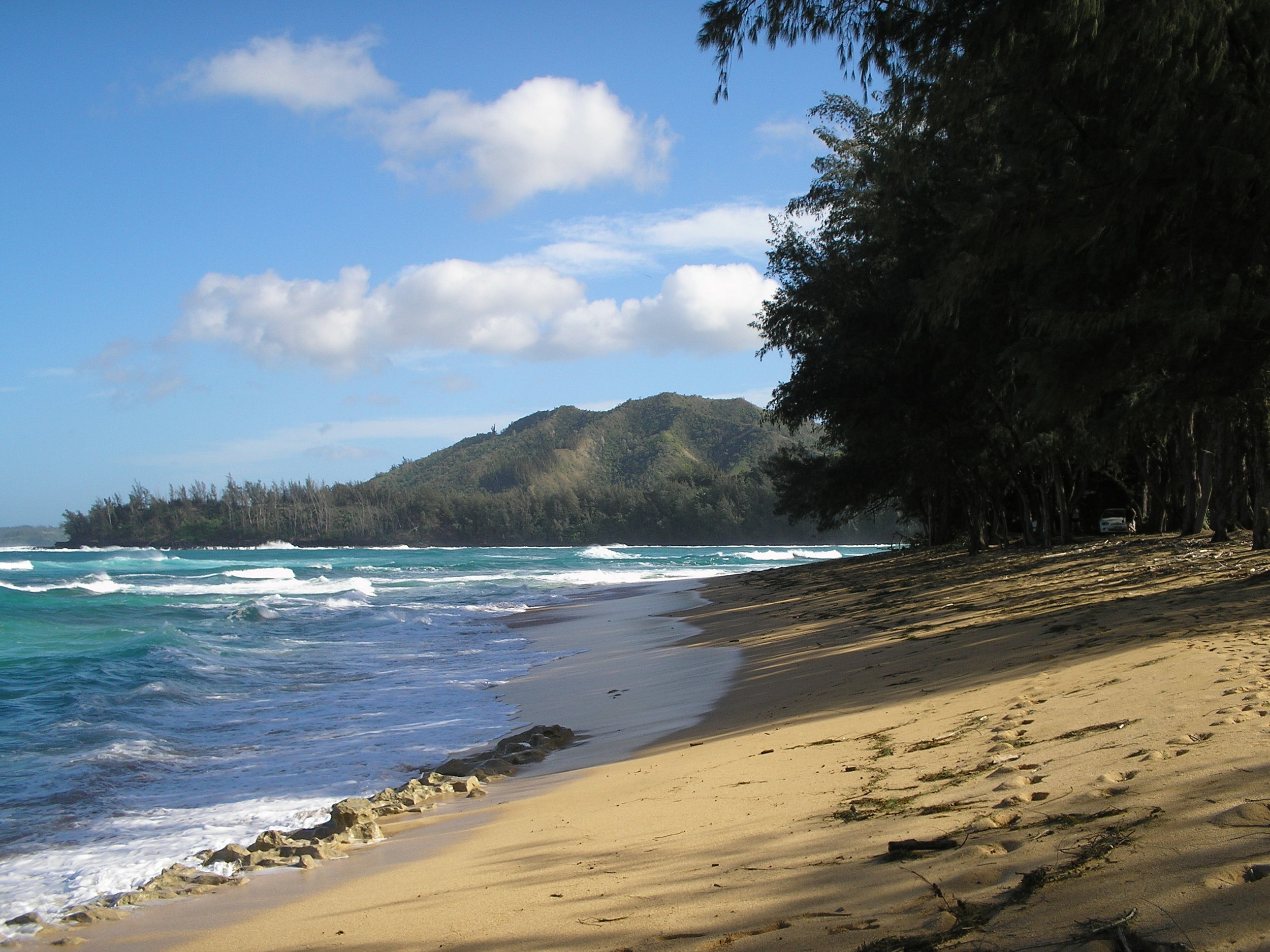 awesome north shore.jpg