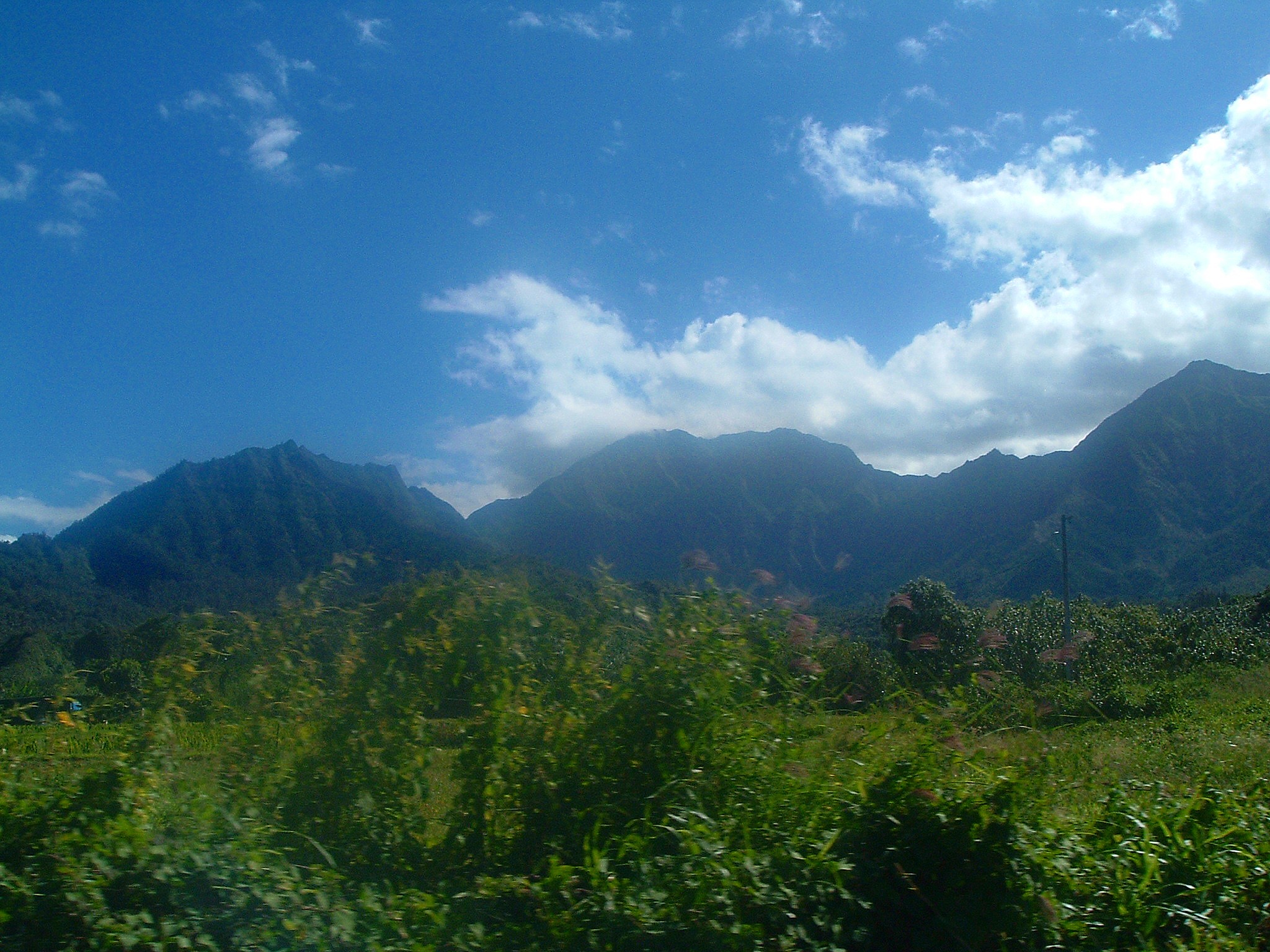 kauai scenery.JPG