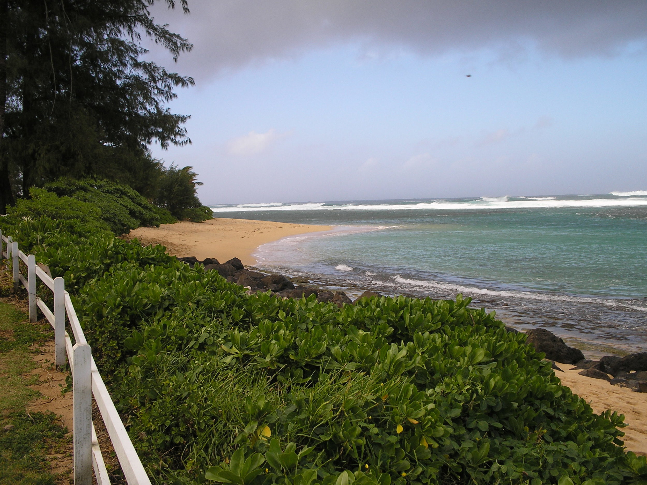 north shore from coffee shop.jpg
