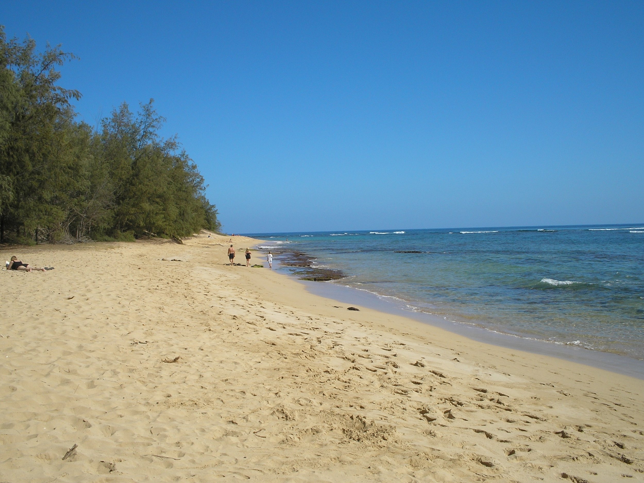 kauai's best beach.JPG