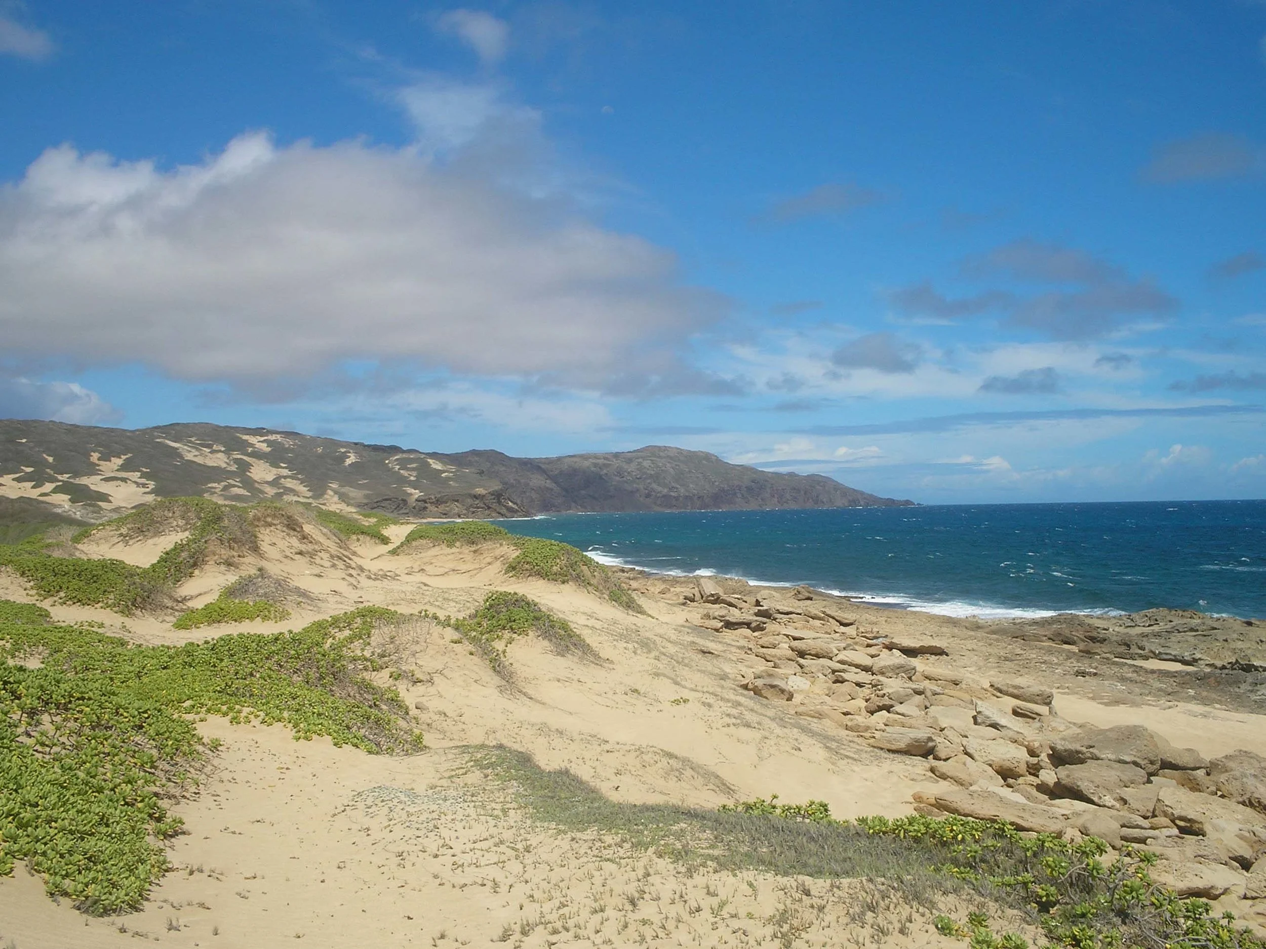 desolate molokai.jpg