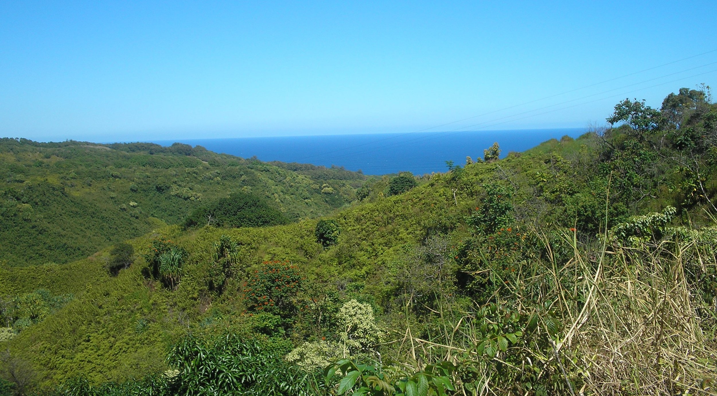 hana highway views.jpg