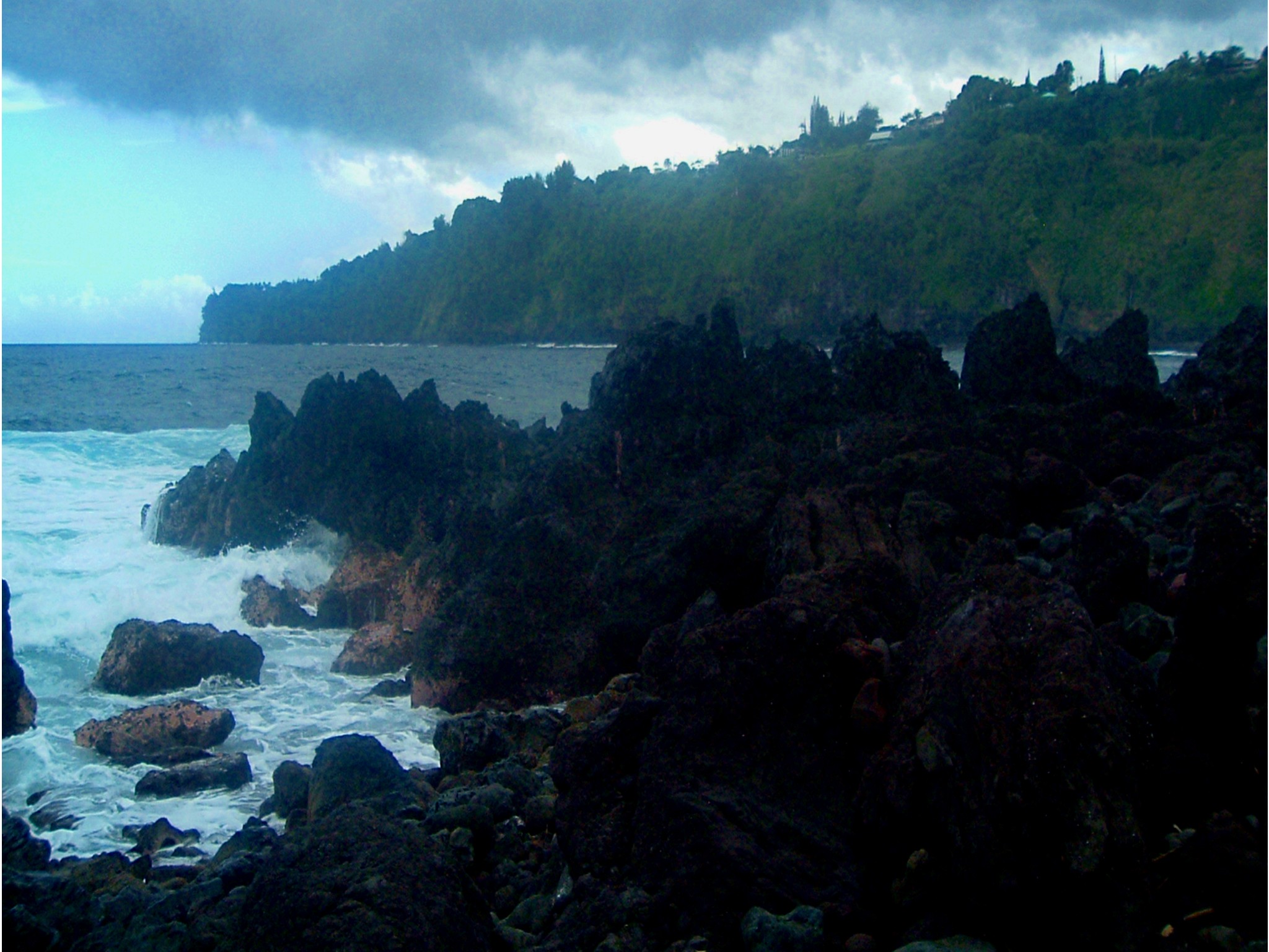 laupahoehoe point state park.JPG