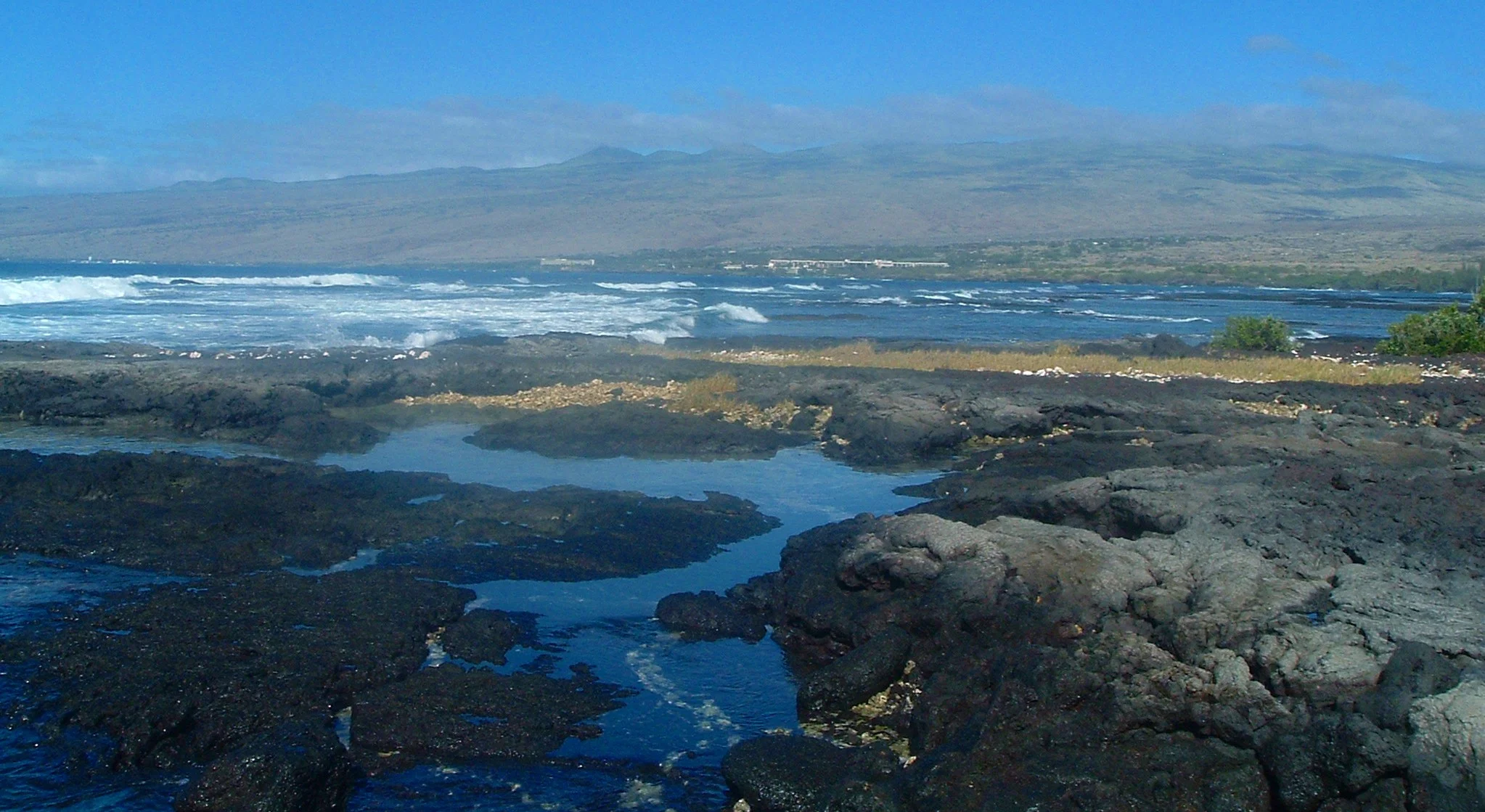 puako tidepools.JPG