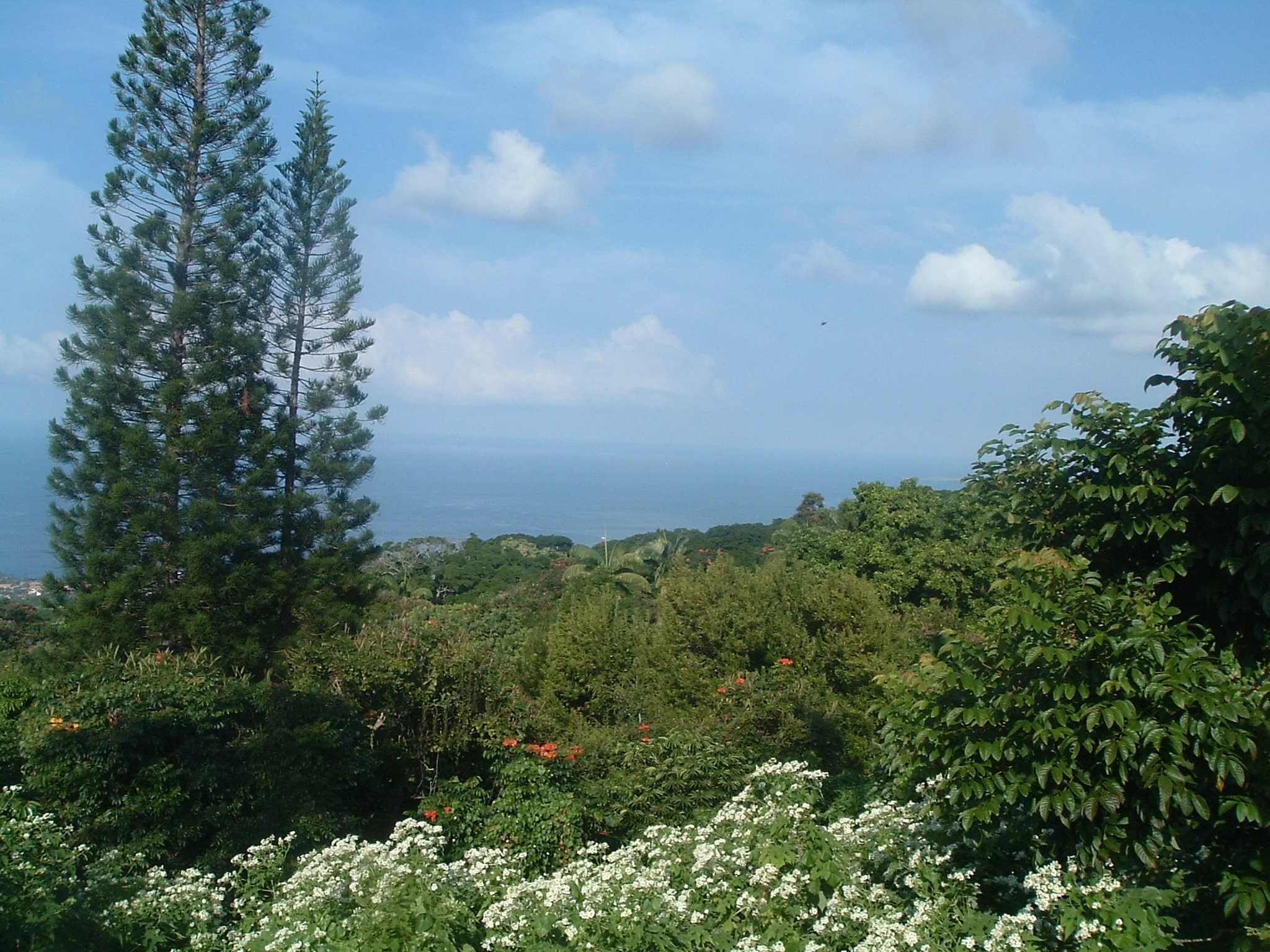 view from mamalahoa highway.JPG