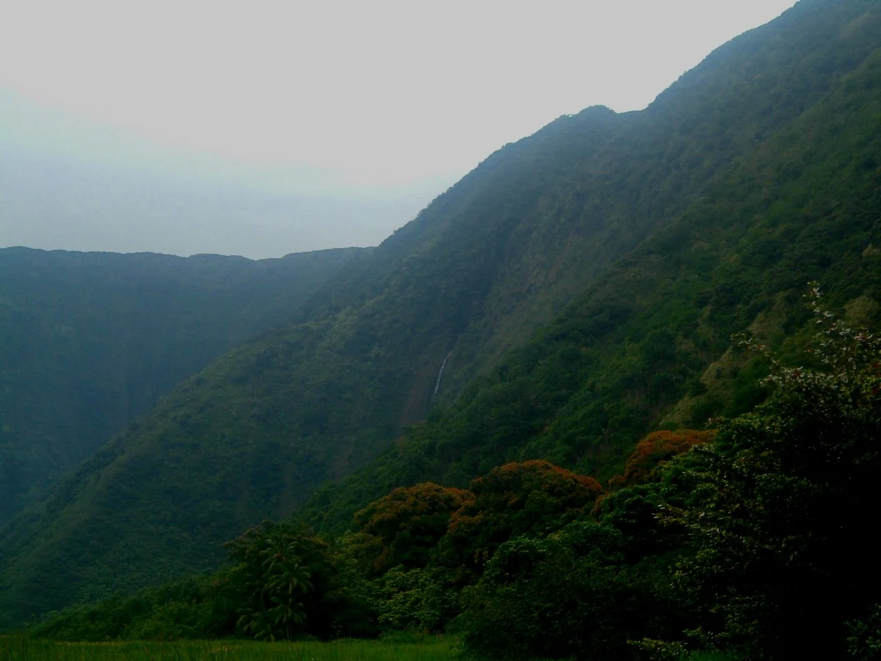 waimanu valley.JPG
