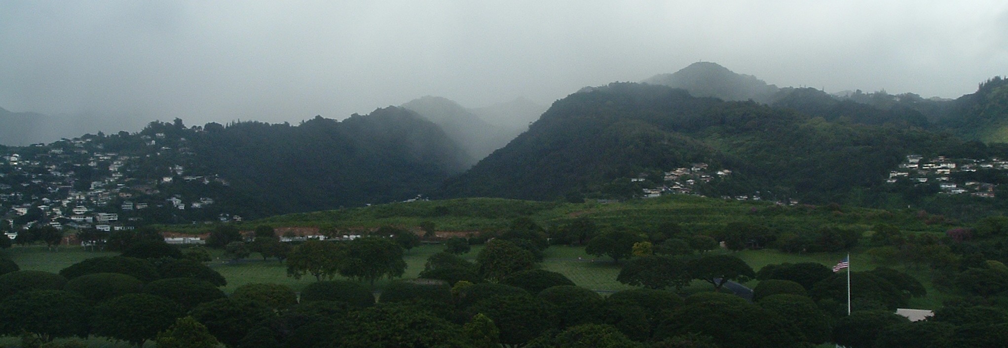 mist and monkey pots.JPG