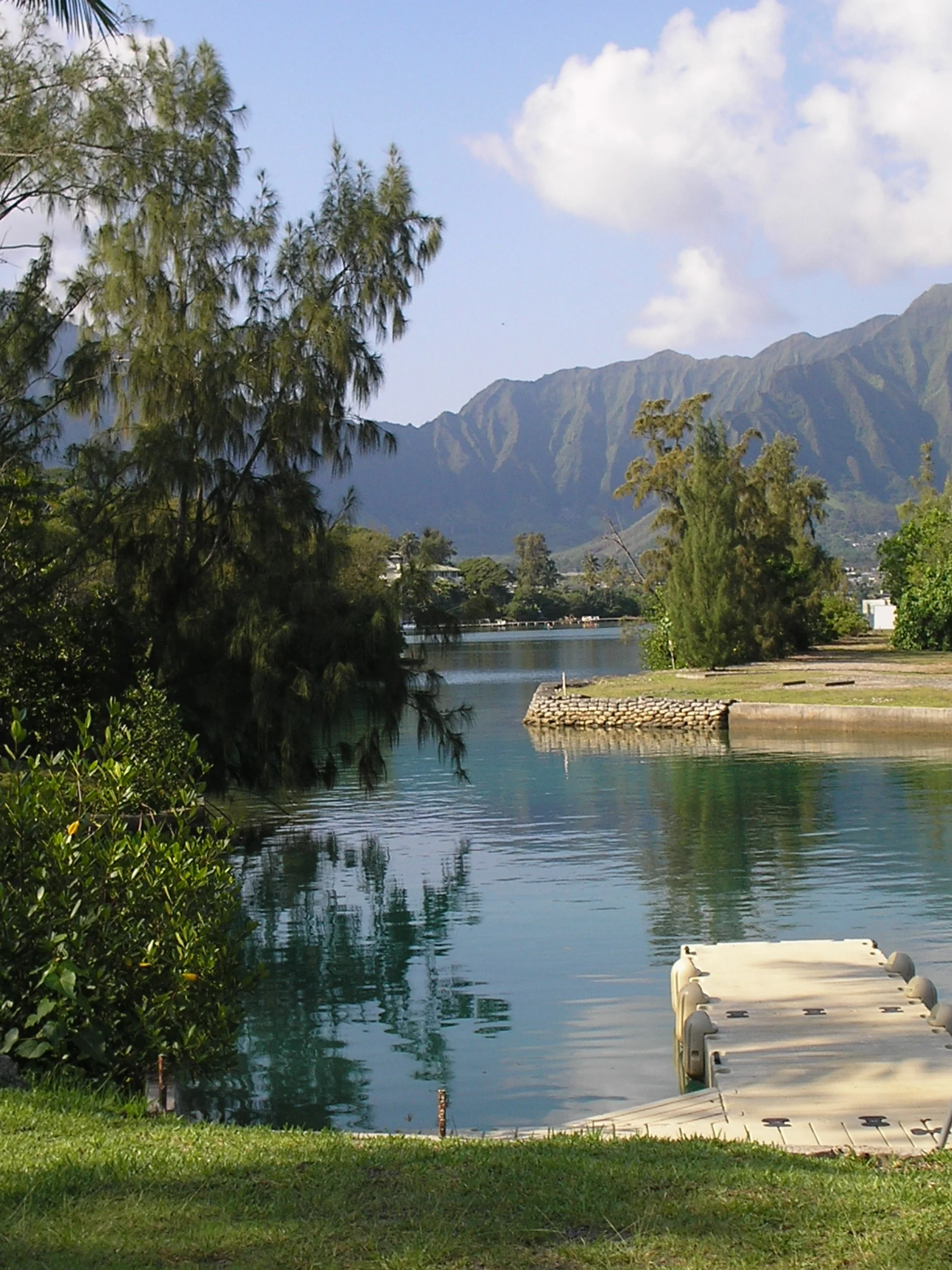 good coconut shot 11-2005.JPG