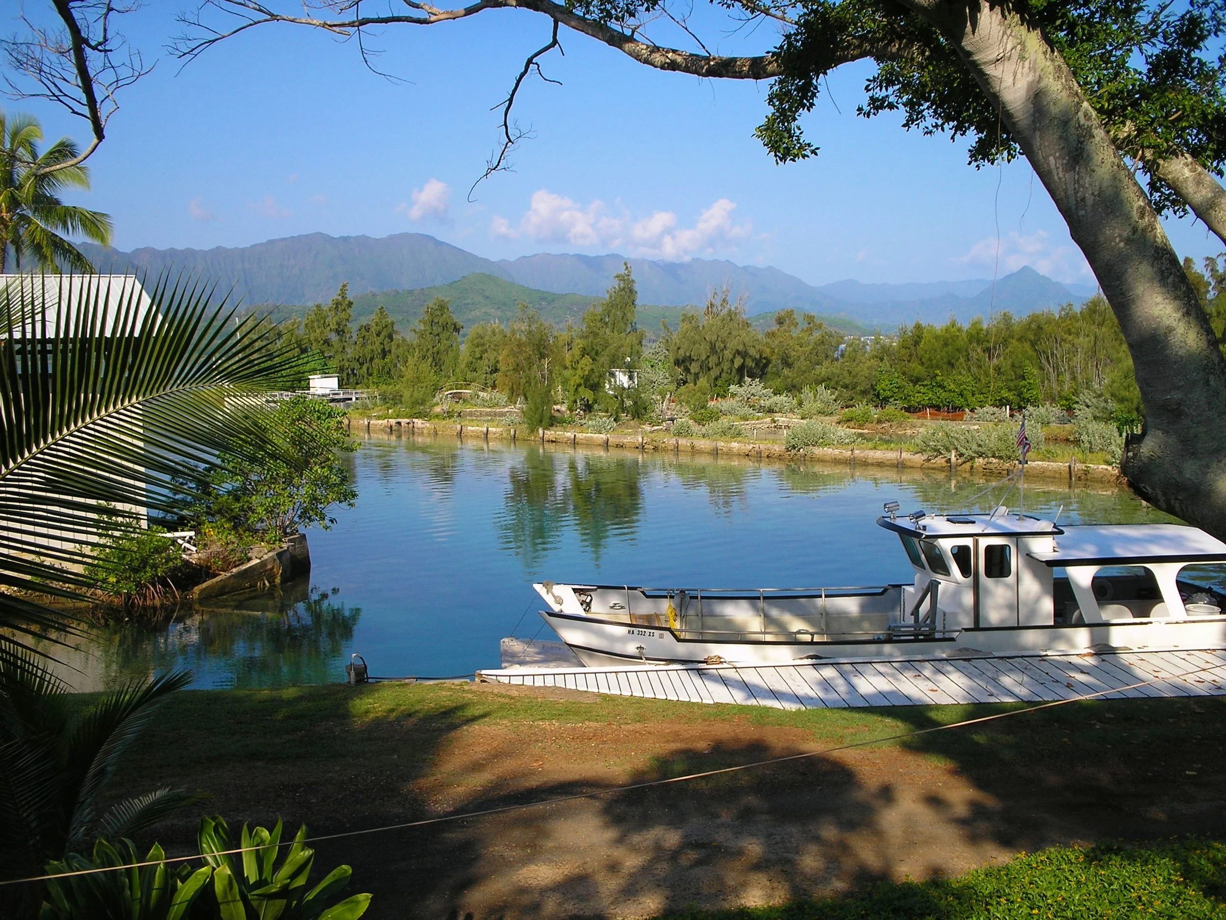 honokai and coconut.JPG