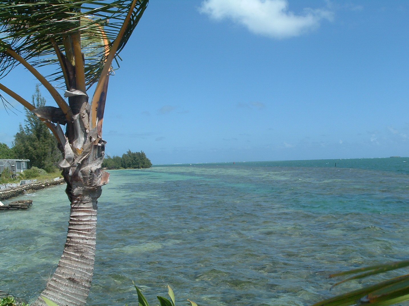 the point at coconut island.jpg